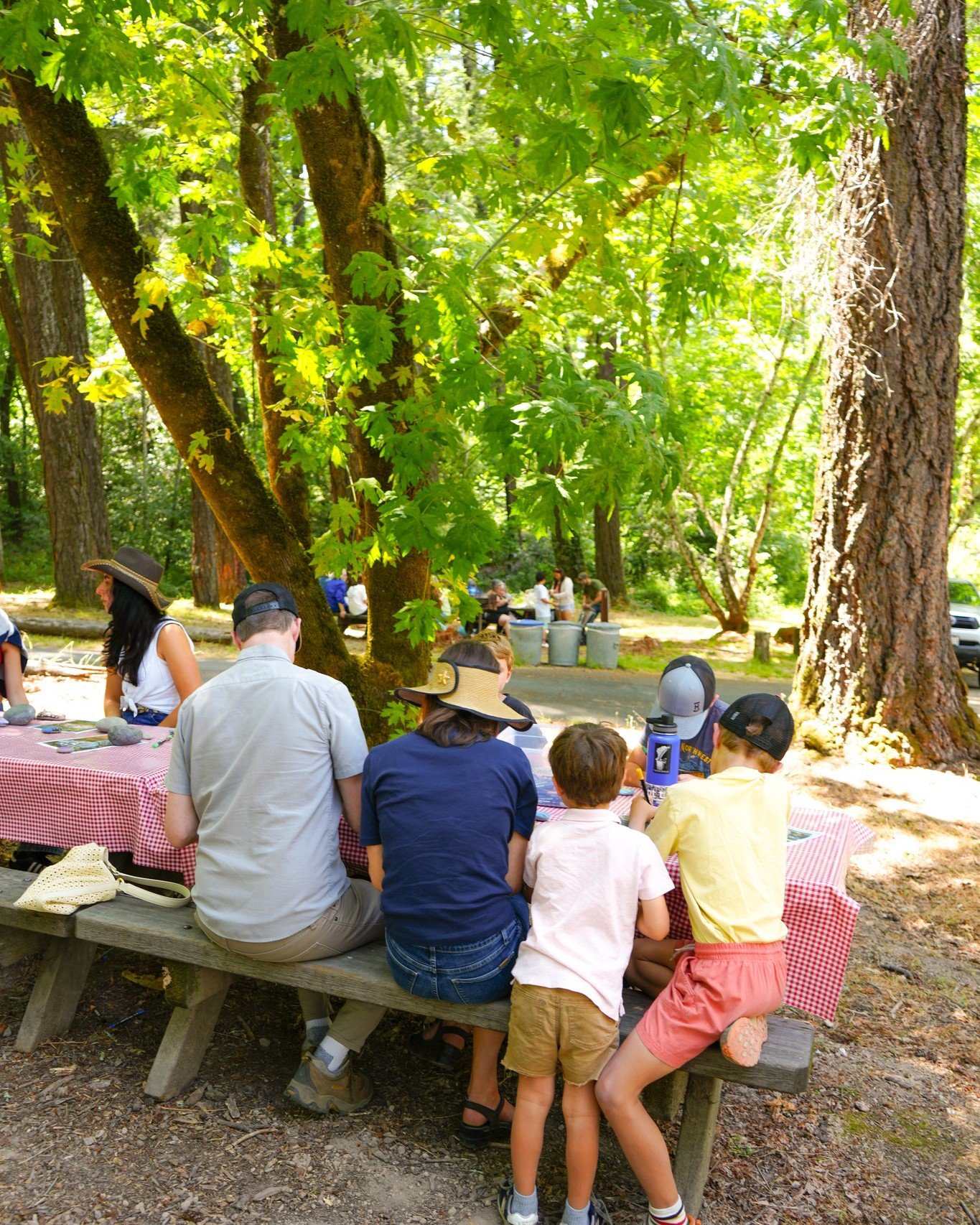 Just two weeks until Art in the Parks!

Join us at Bothe-Napa Valley State Park for a day of local art, talented makers, and the chance to explore one of Napa Valley&rsquo;s most beautiful parks.

Spend the day wandering beneath the redwoods, meeting