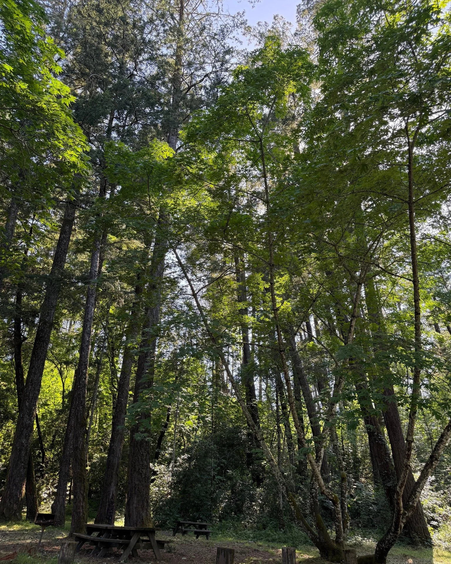 Happy California State Parks Week!

There&rsquo;s no better way to celebrate than by spending time outdoors and connecting with the people, places, and stories that make our parks so special.

Start your Saturday morning with our regular Second Satur