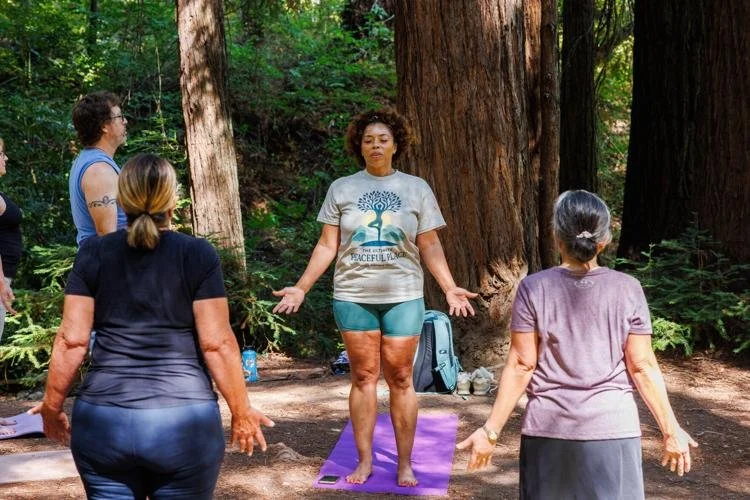 Yoga in the Forest