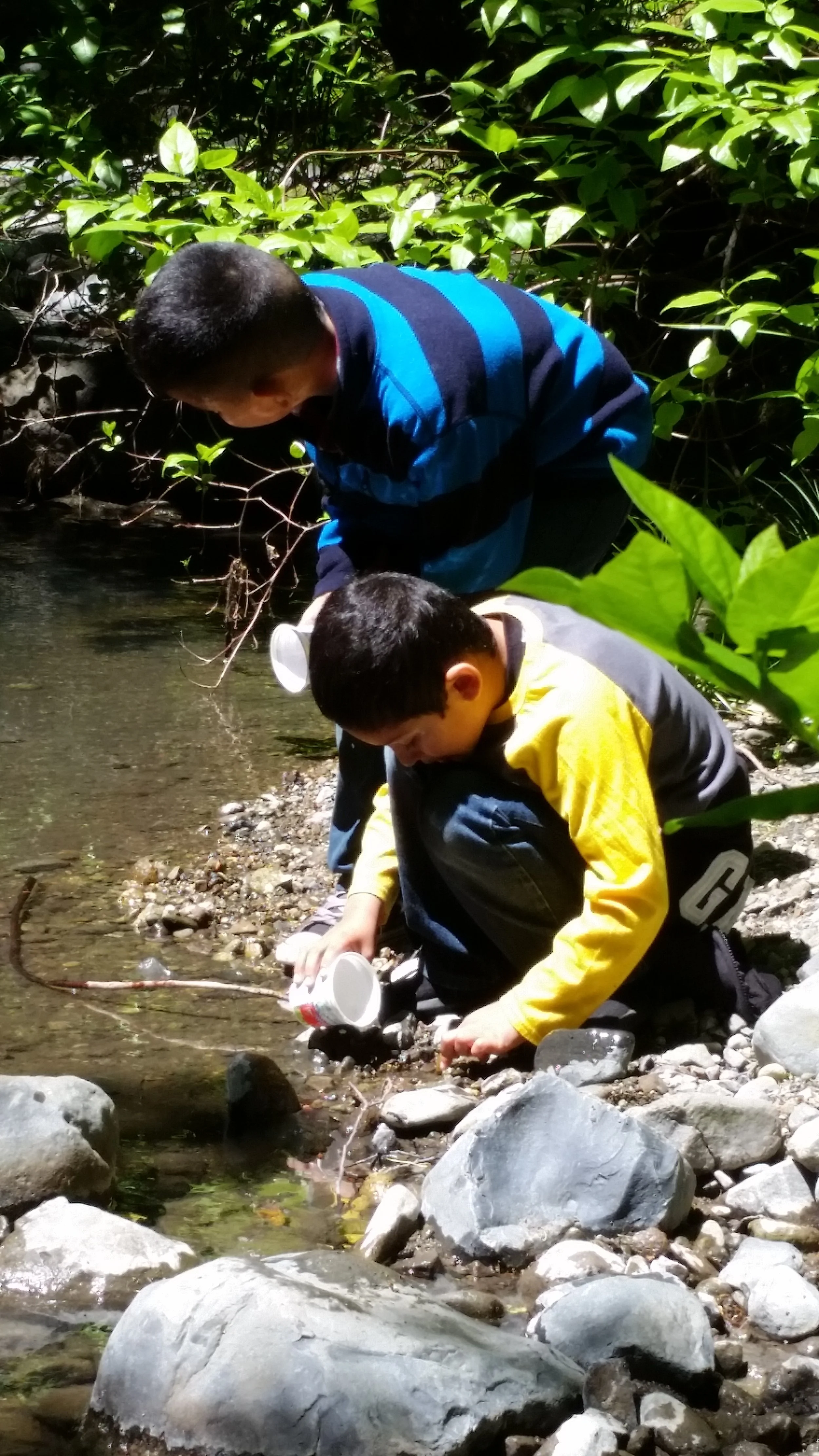 Junior Rangers 