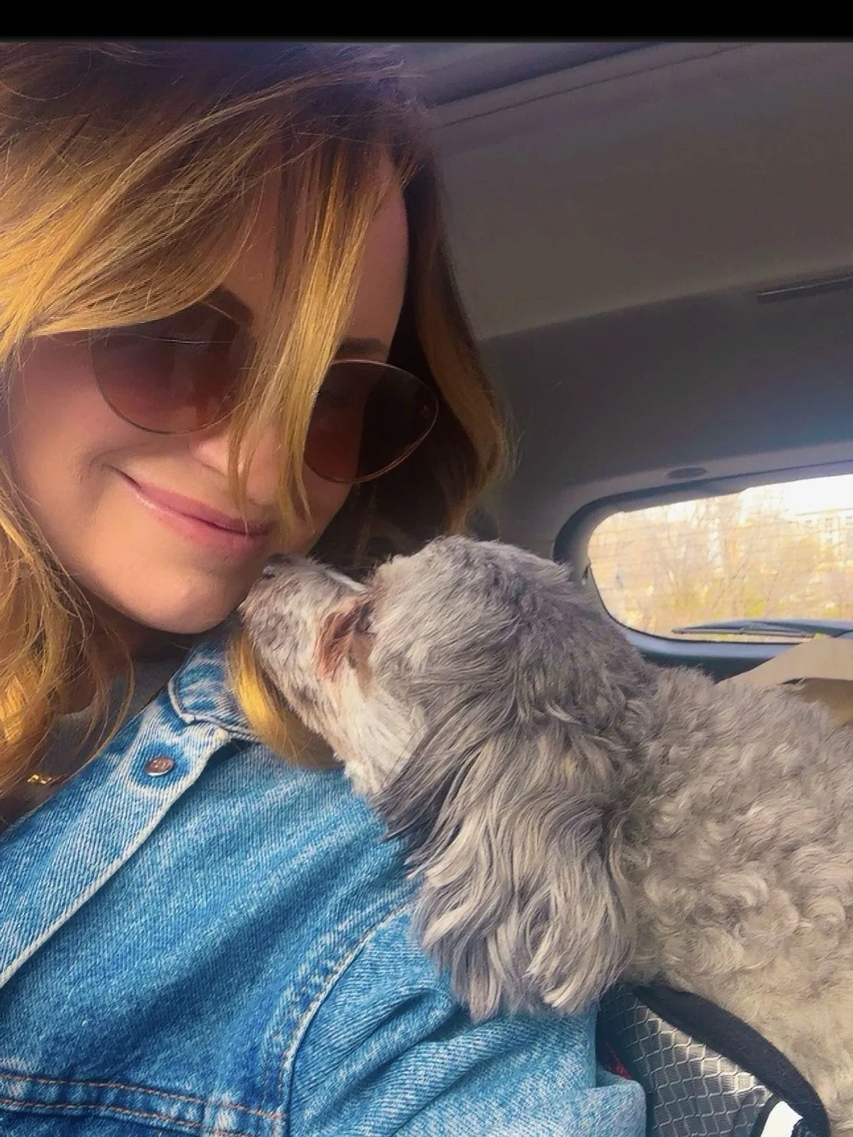 Happy National Pet Day!!! ✨🐶💕🐶✨

✨Featuring my Sweet Boy , Rocky Rode Ala Mode✨