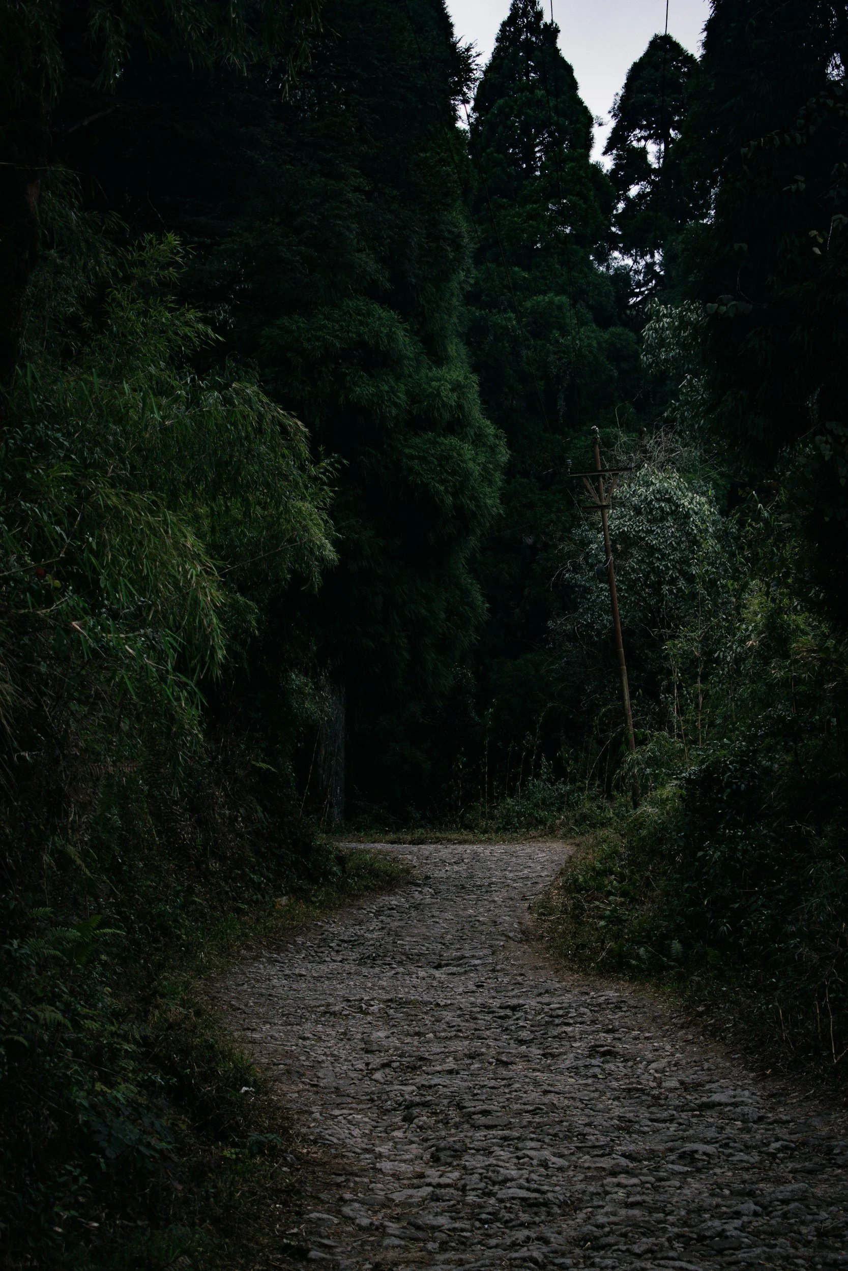 The Narrow Way