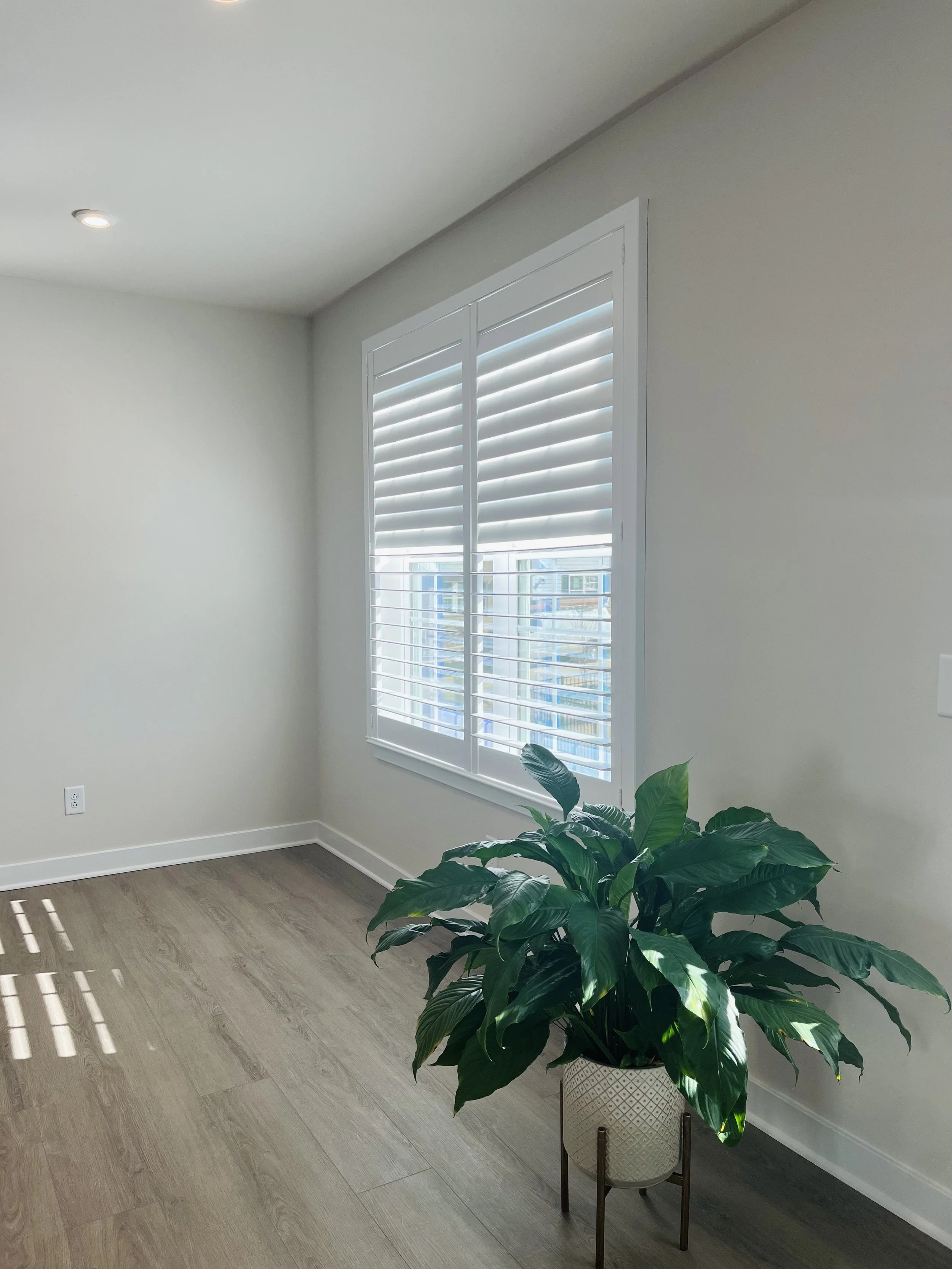 Minimalist room with light oak wood floor, white walls, and a large green plant in a textured white planter on a stand by a window with white shutters.