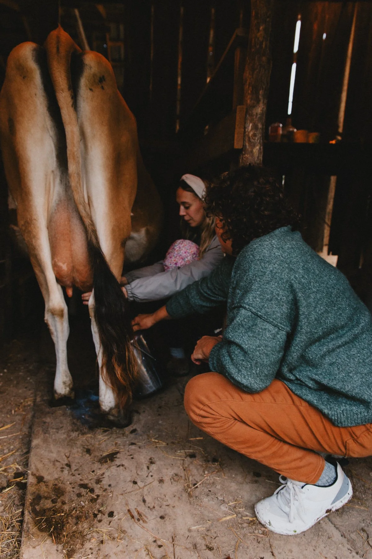 Hands-on Milkmaid Demo