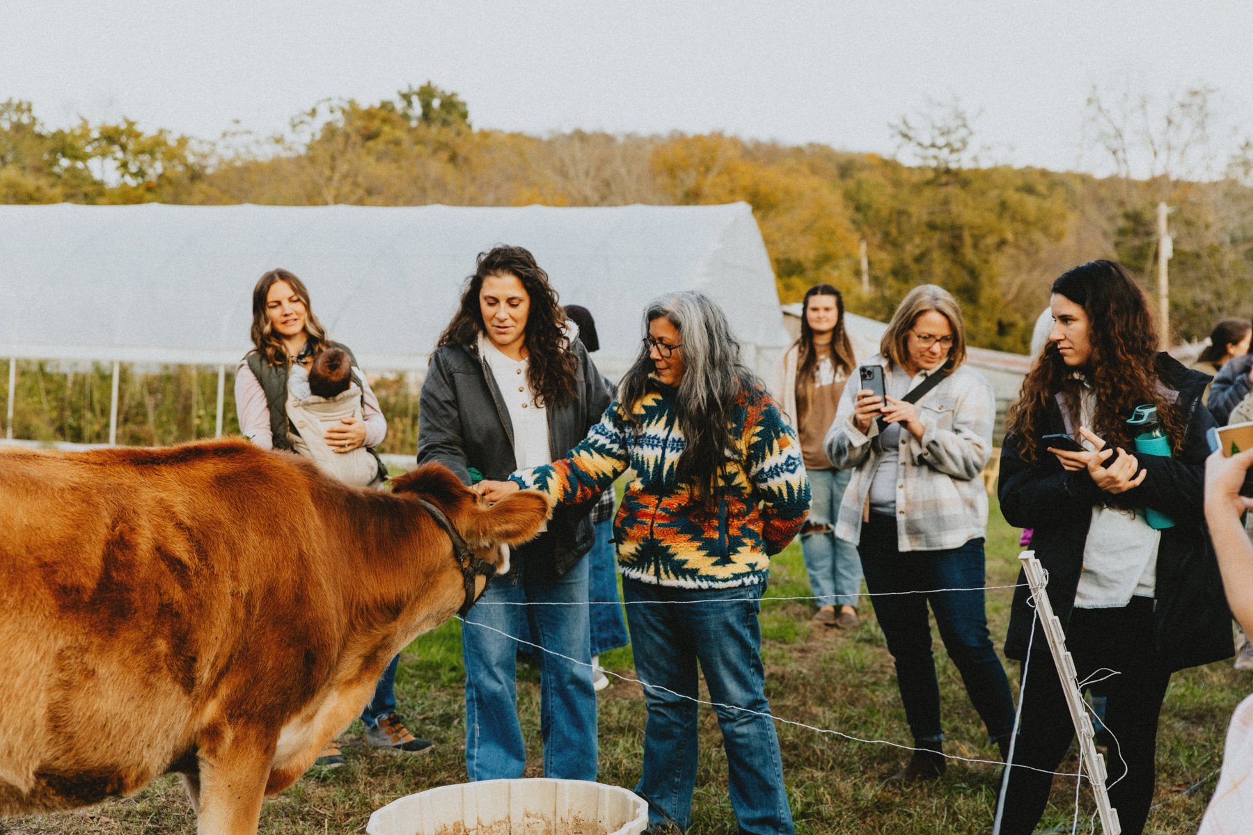 Tour of a working farm