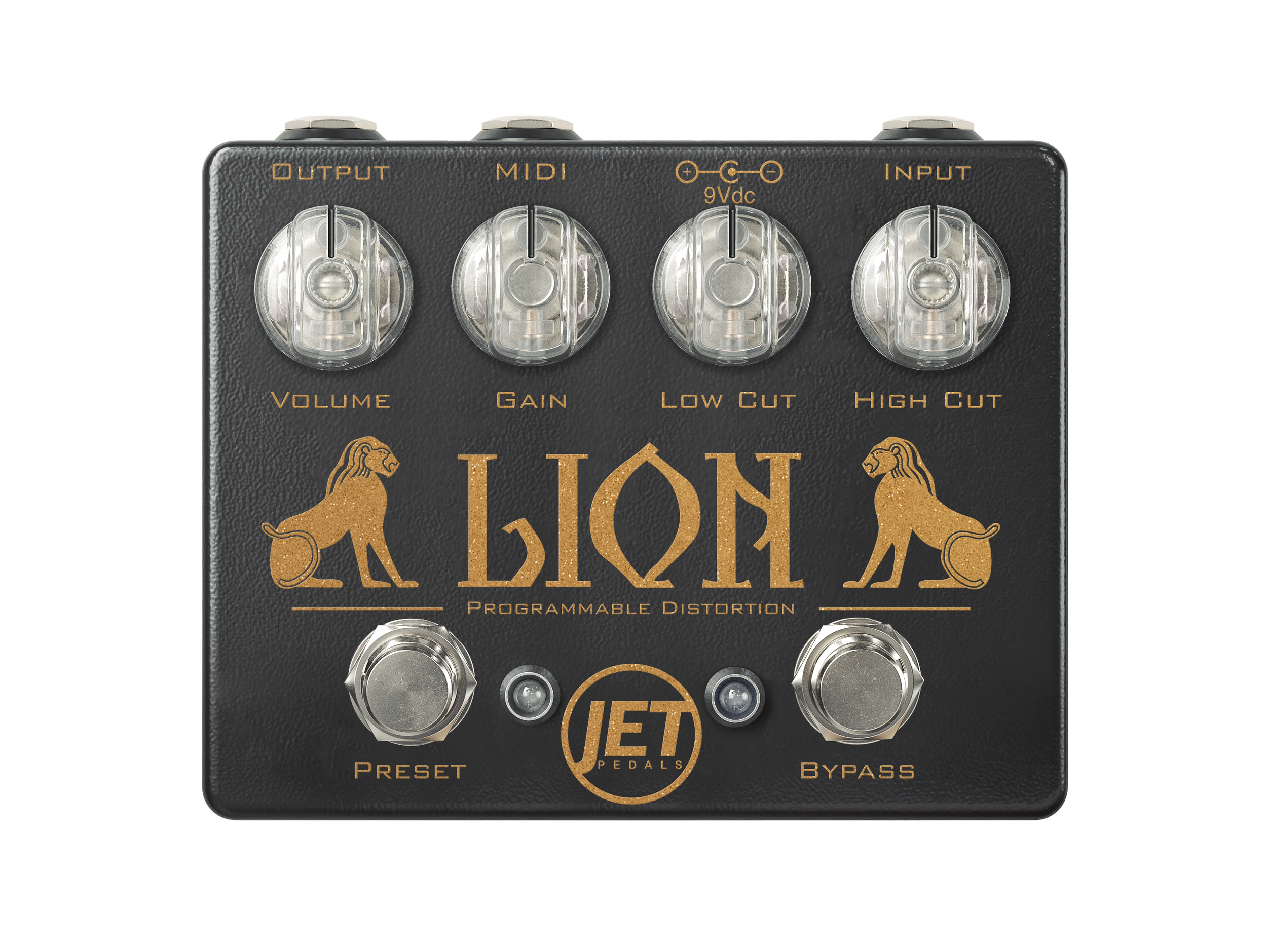 Lion Distortion