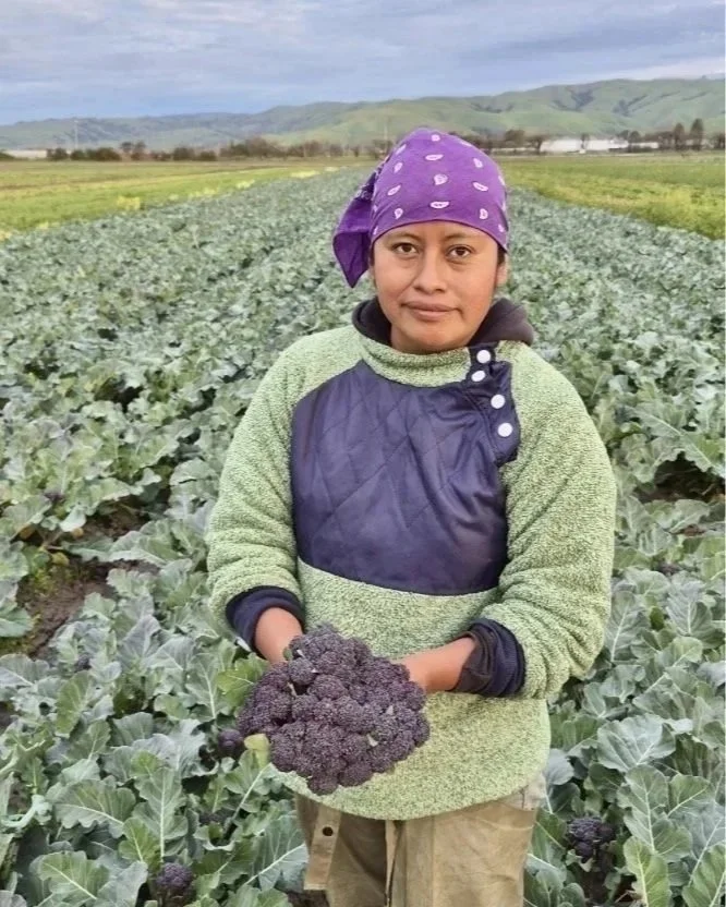 Alfa Y Omega Organic Farm