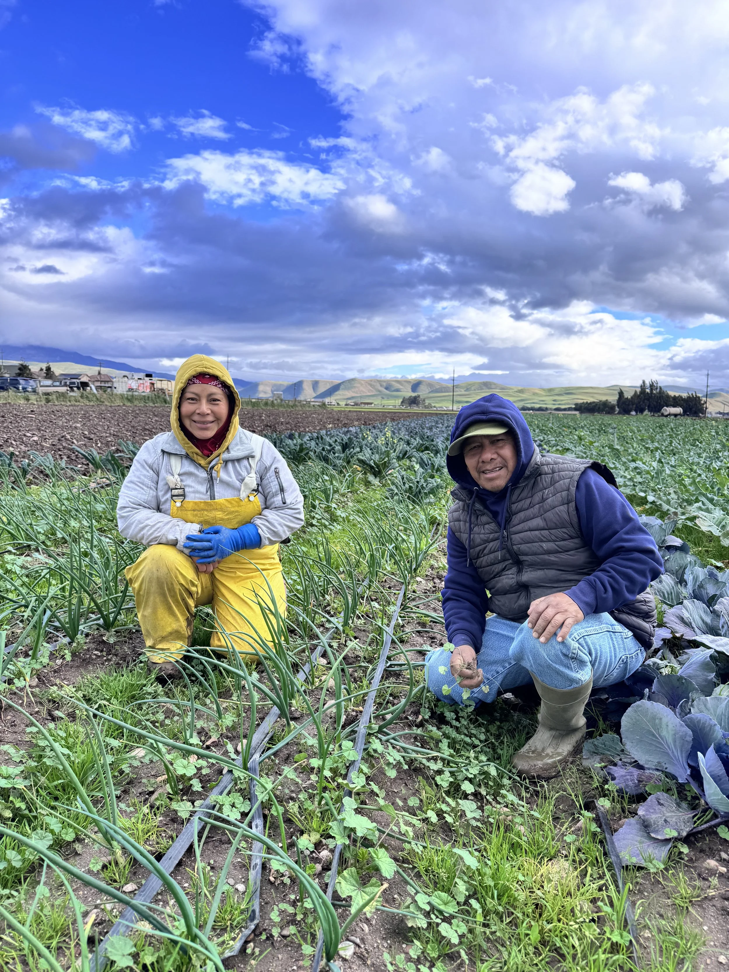 Lazaro Organic Farms