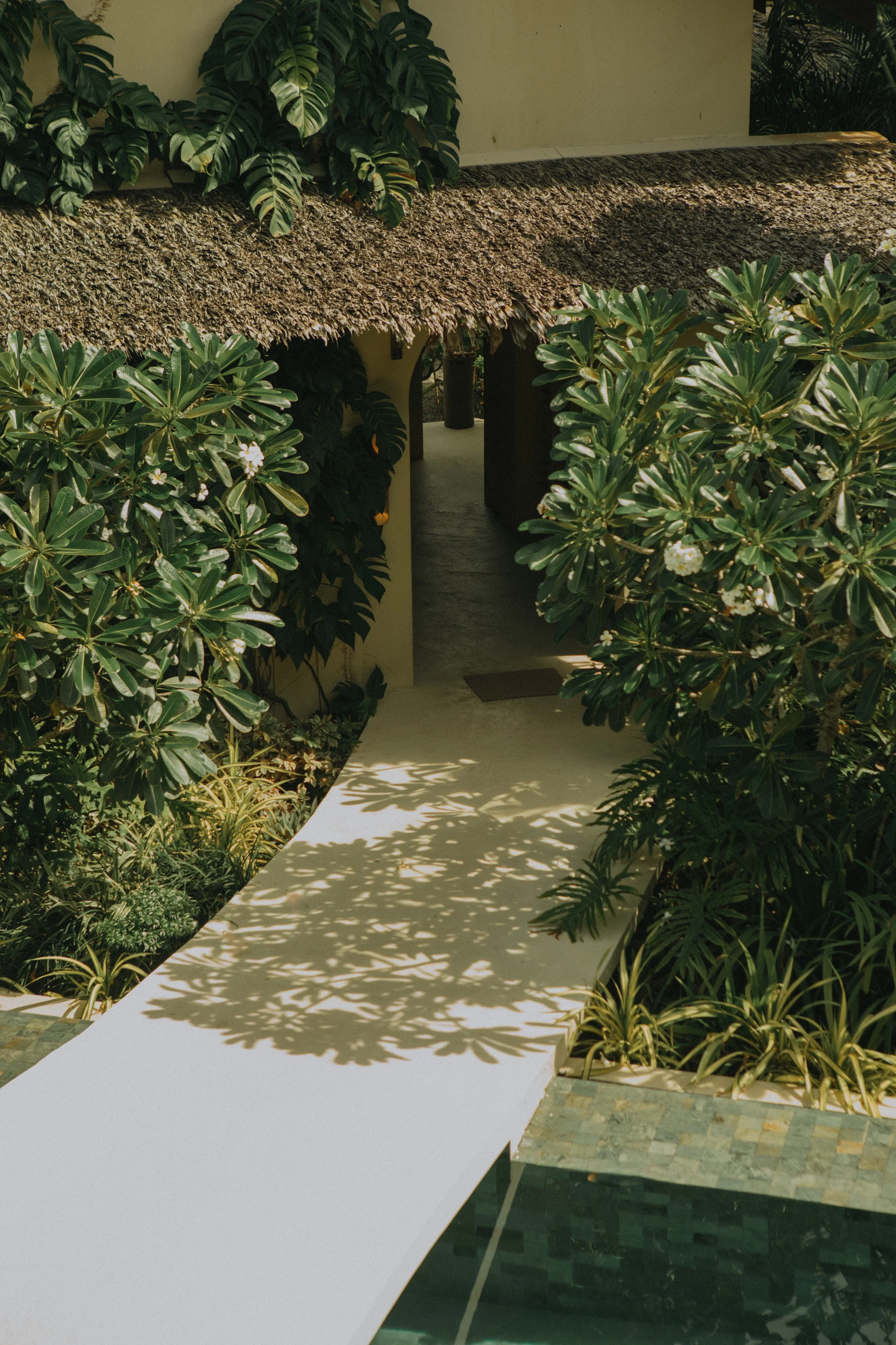 reception-area-schoenhouse-villa-siargao-bridge-infinity-pool.jpg