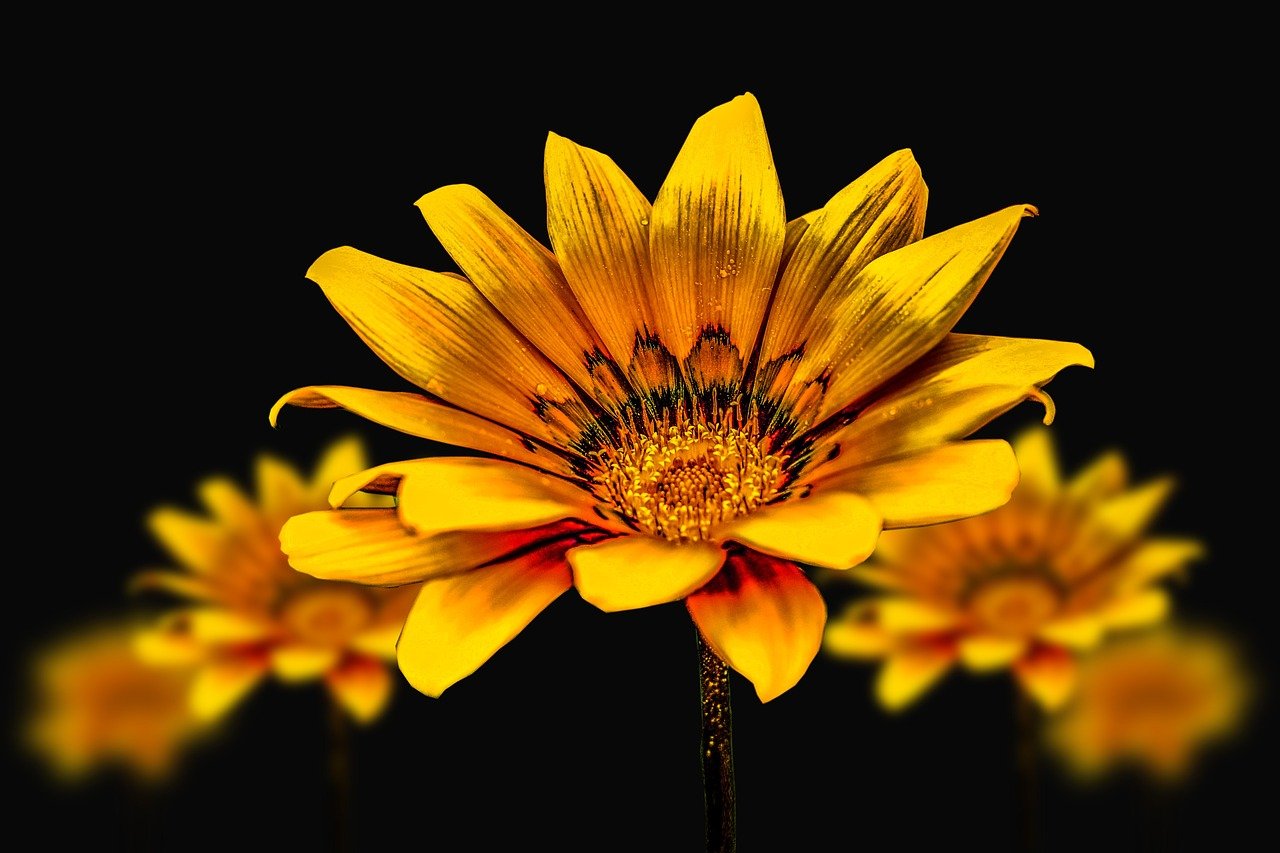 Hard work reaps an abundance of rewards ~ Michelle Taylor