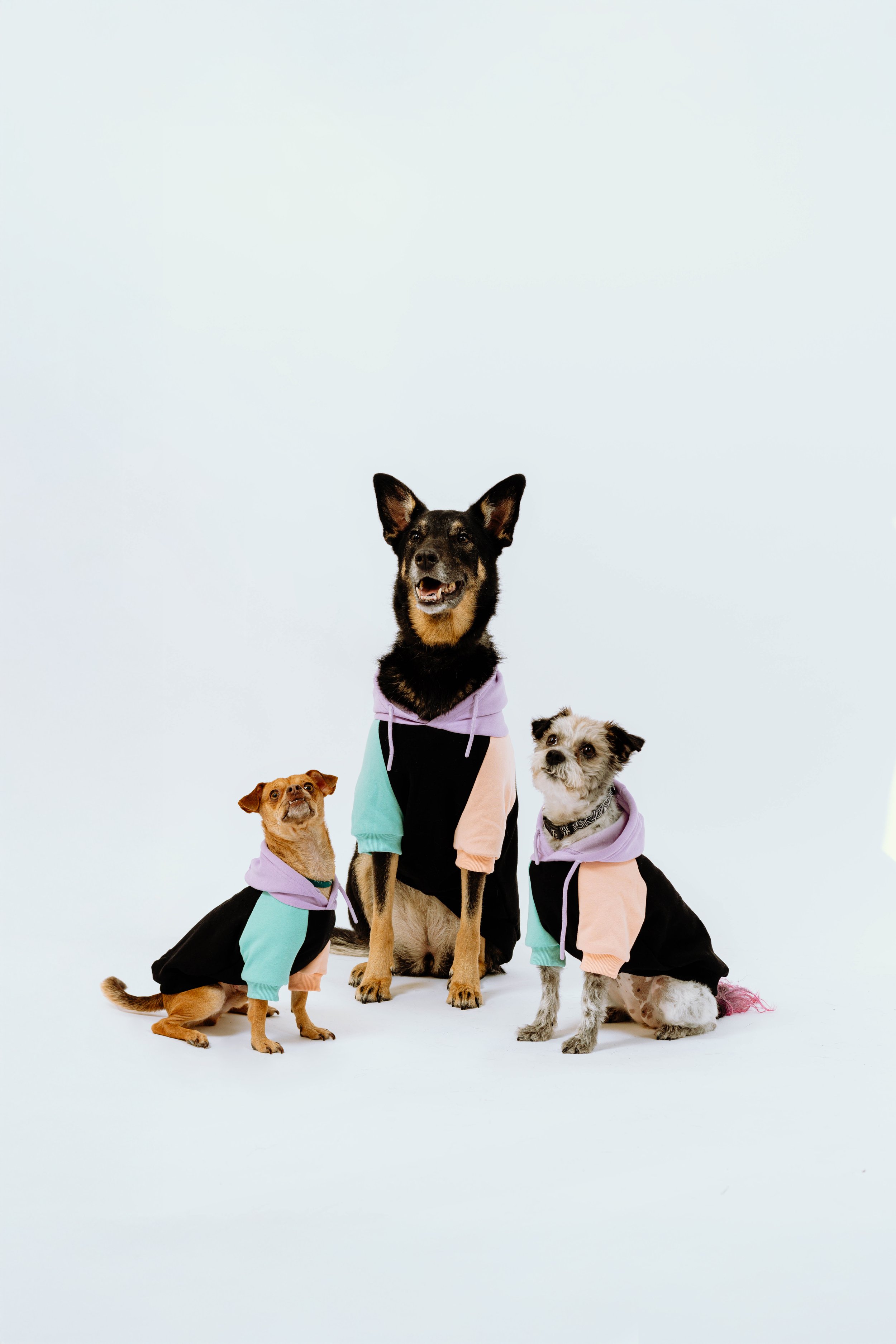 3L4A9544 All 3 together.jpg