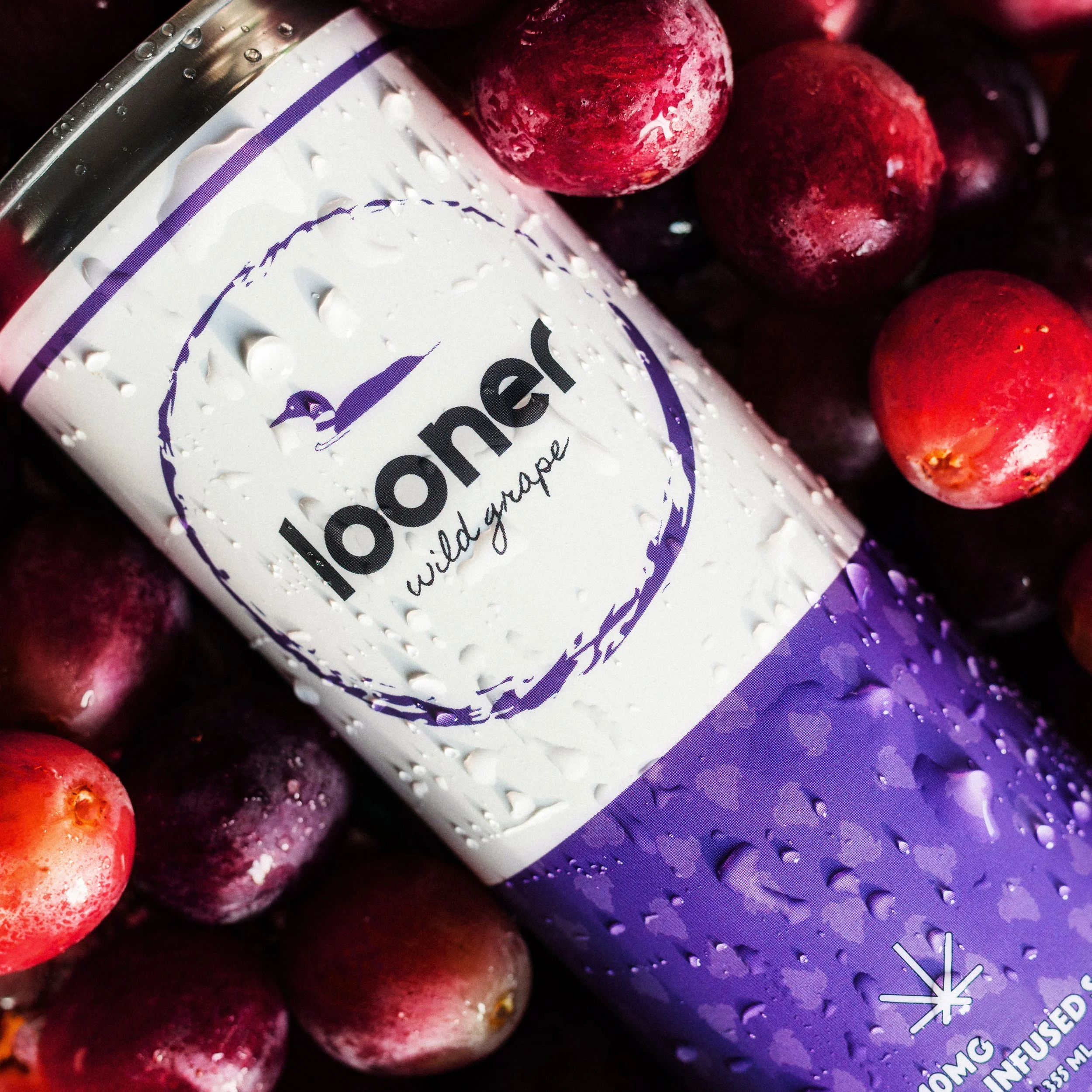 3L4A8372 Background social post 2.jpg