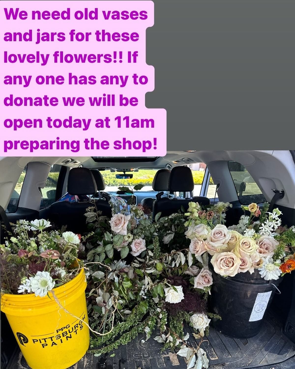We will be at the shop today (Thursday, 5/30) from 11 - 12 pm collecting donated cases, old jars, or containers to use to donate florals back to our community. 

Please help us and clean out your shelves!

790 Lodi Ave. 

PetalKindness.org

#flowersm