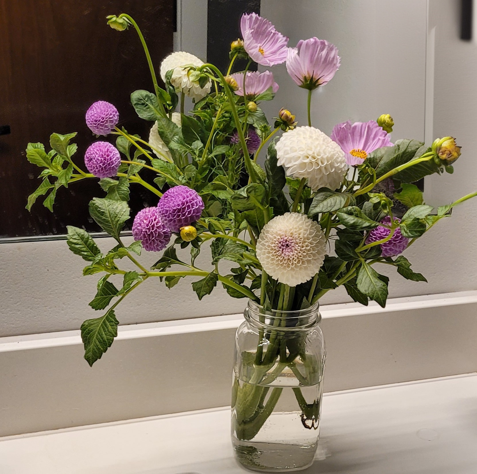 frank holmes, hollyhill miss white and cosmos.png