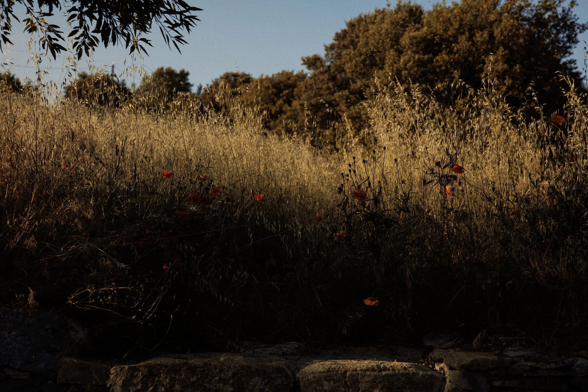 Samuel Beckett play: The End by the Gare St Lazare theatre company