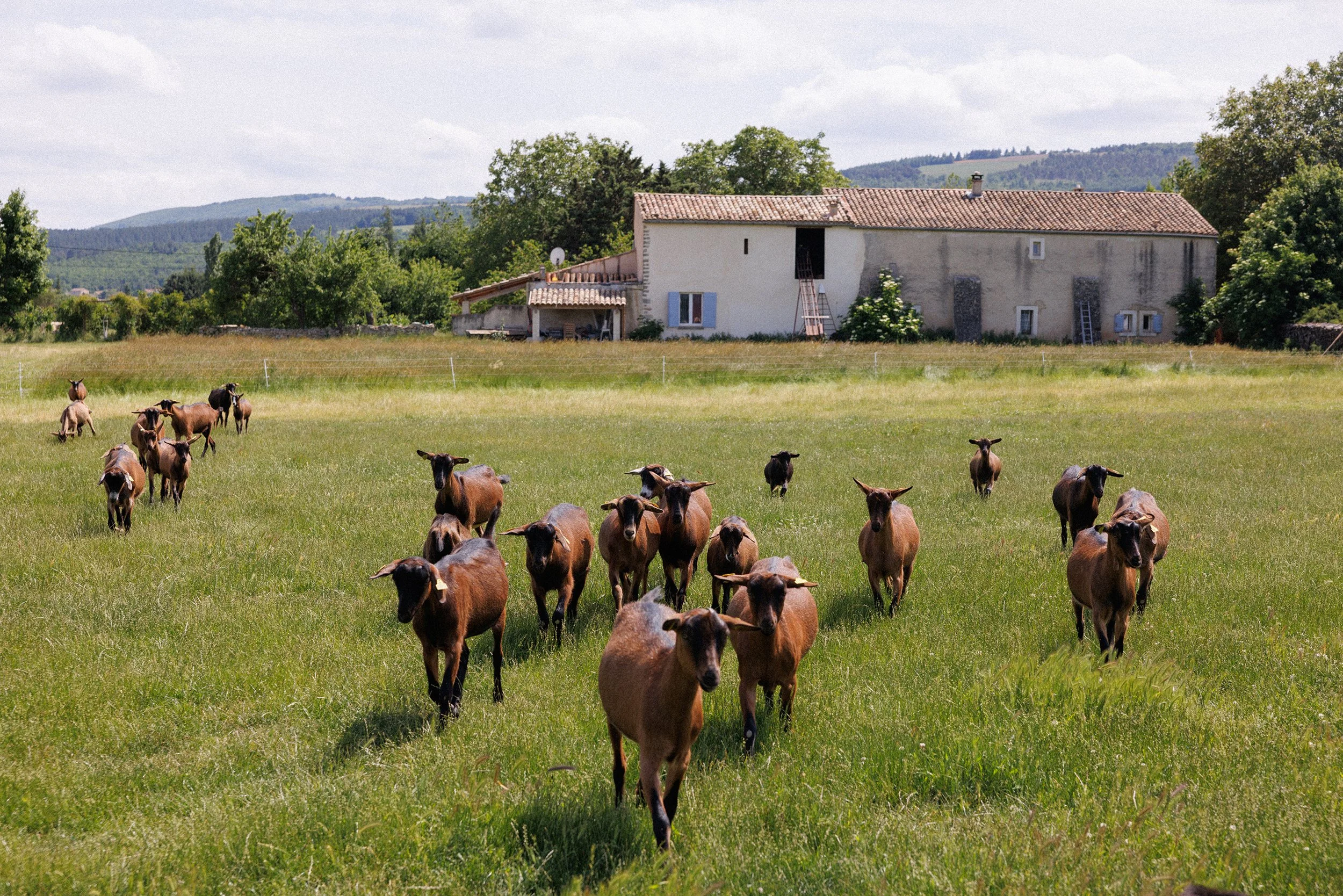 la gonette writers week high res 089.jpg