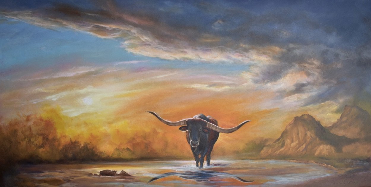 Longhorn Sunset