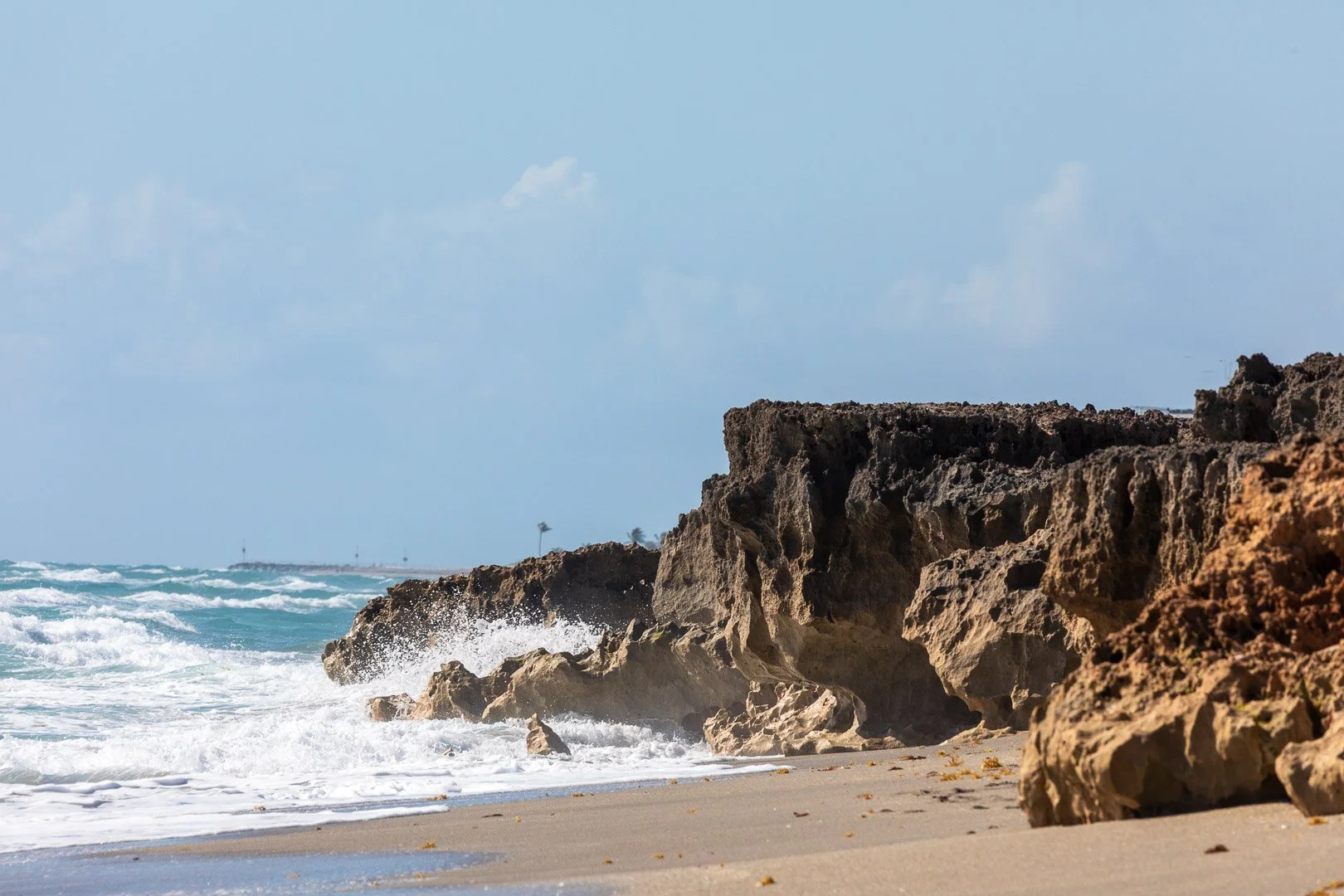 Carved by Tide and Time: Blowing Rocks Preserve