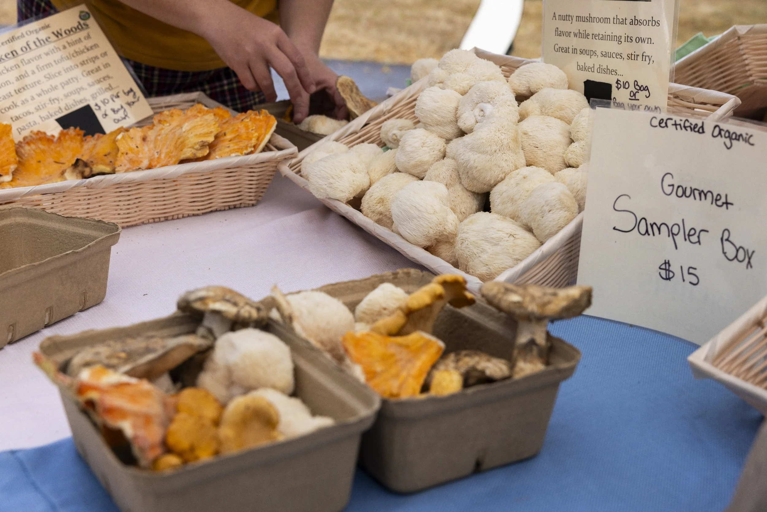 processed_Albany Mushroom Festival-16.jpg