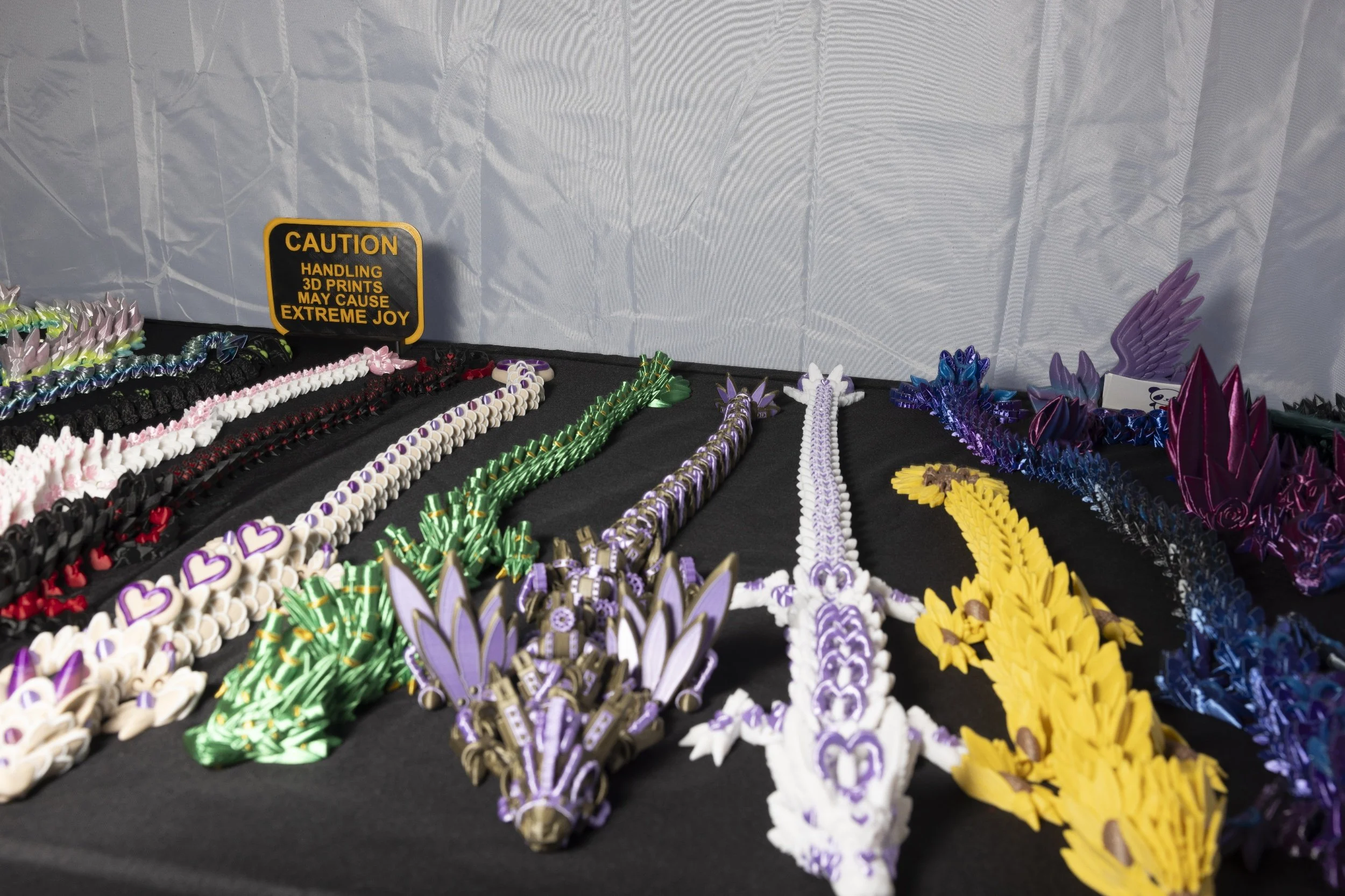 processed_Albany Mushroom Festival-29.jpg