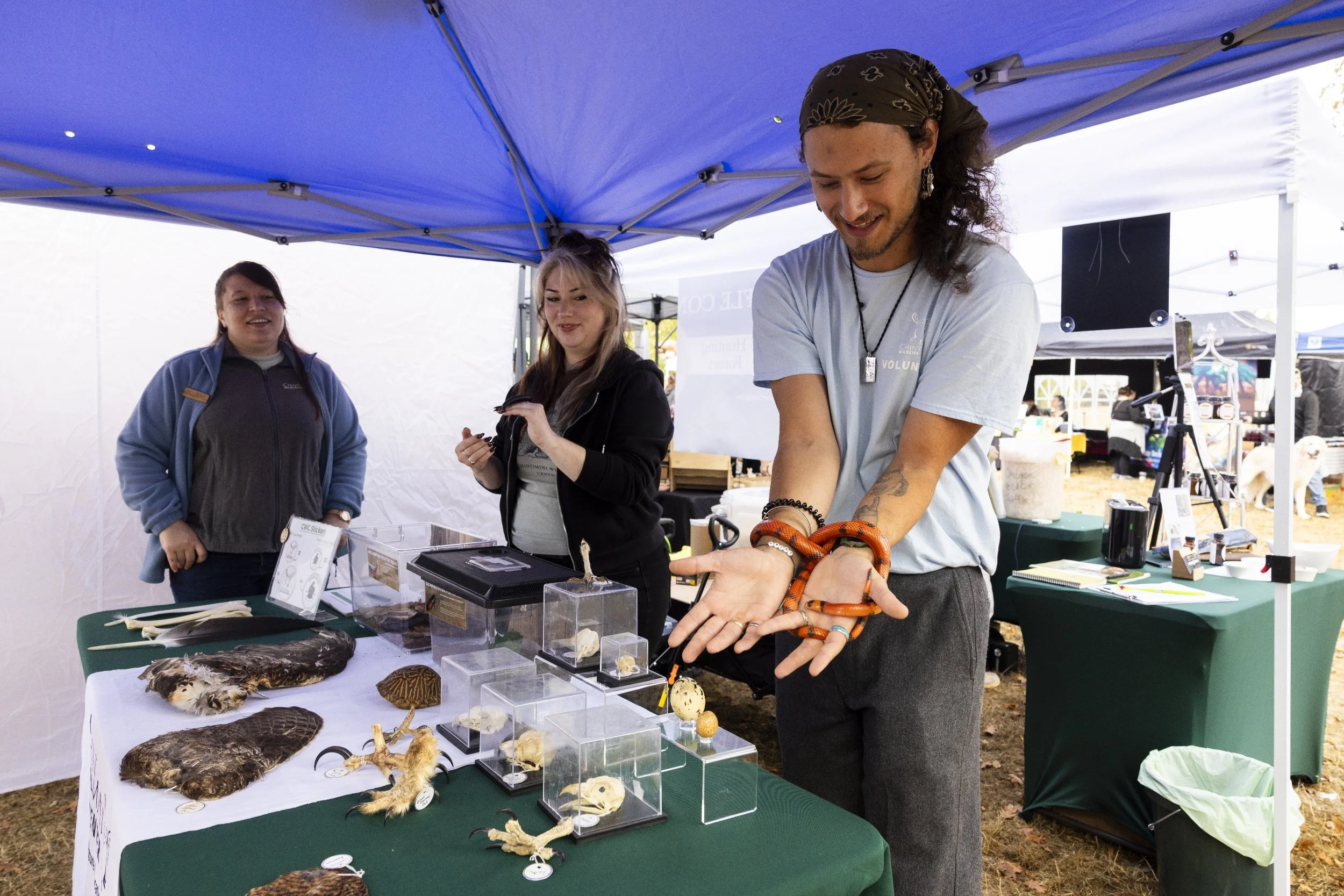 processed_Albany Mushroom Festival-18.jpg