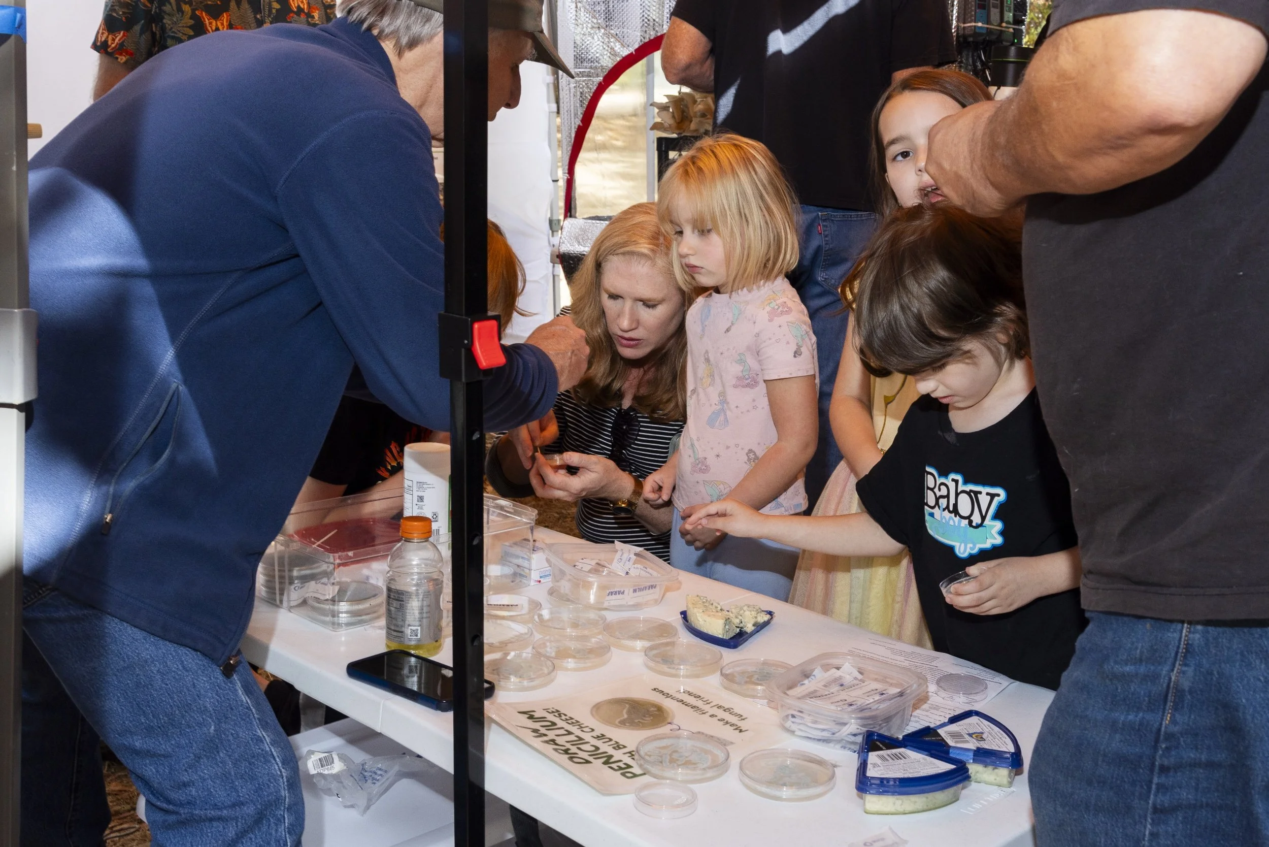 processed_Albany Mushroom Festival-91.jpg