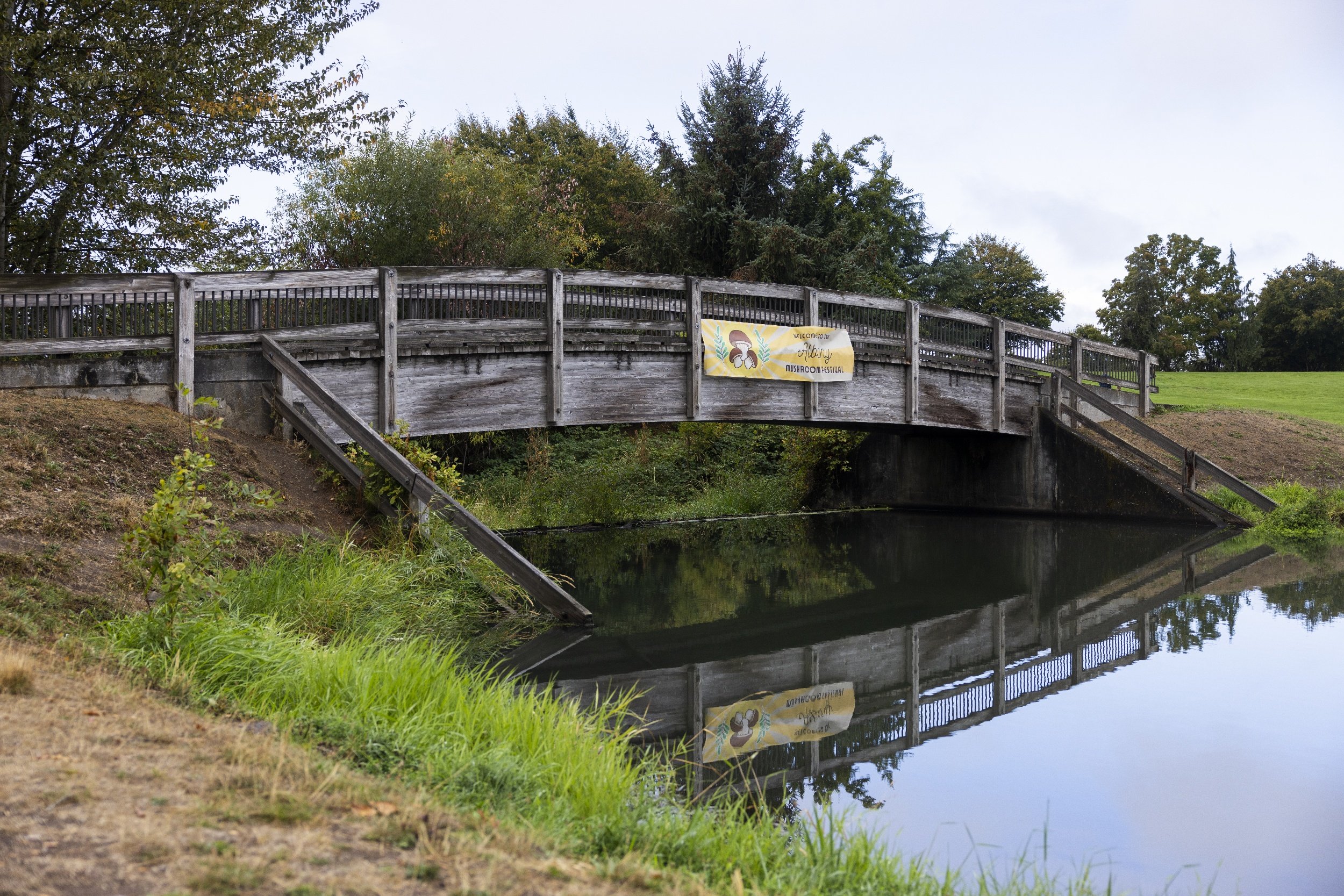 processed_Albany Mushroom Festival-2.jpg
