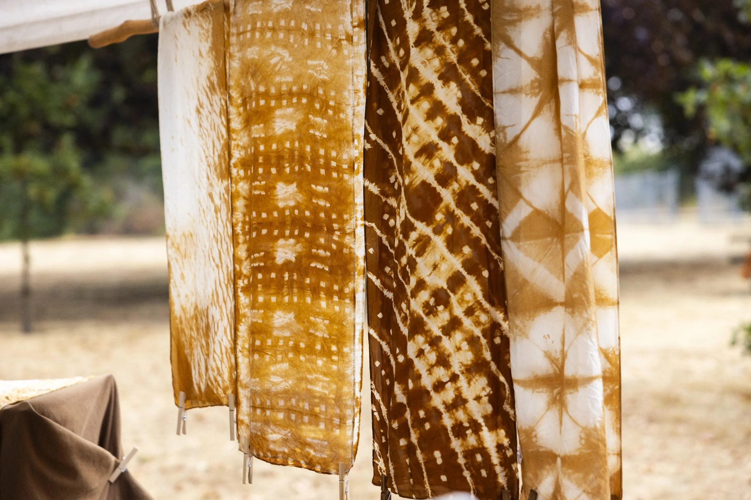 processed_Albany Mushroom Festival-11 (1).jpg