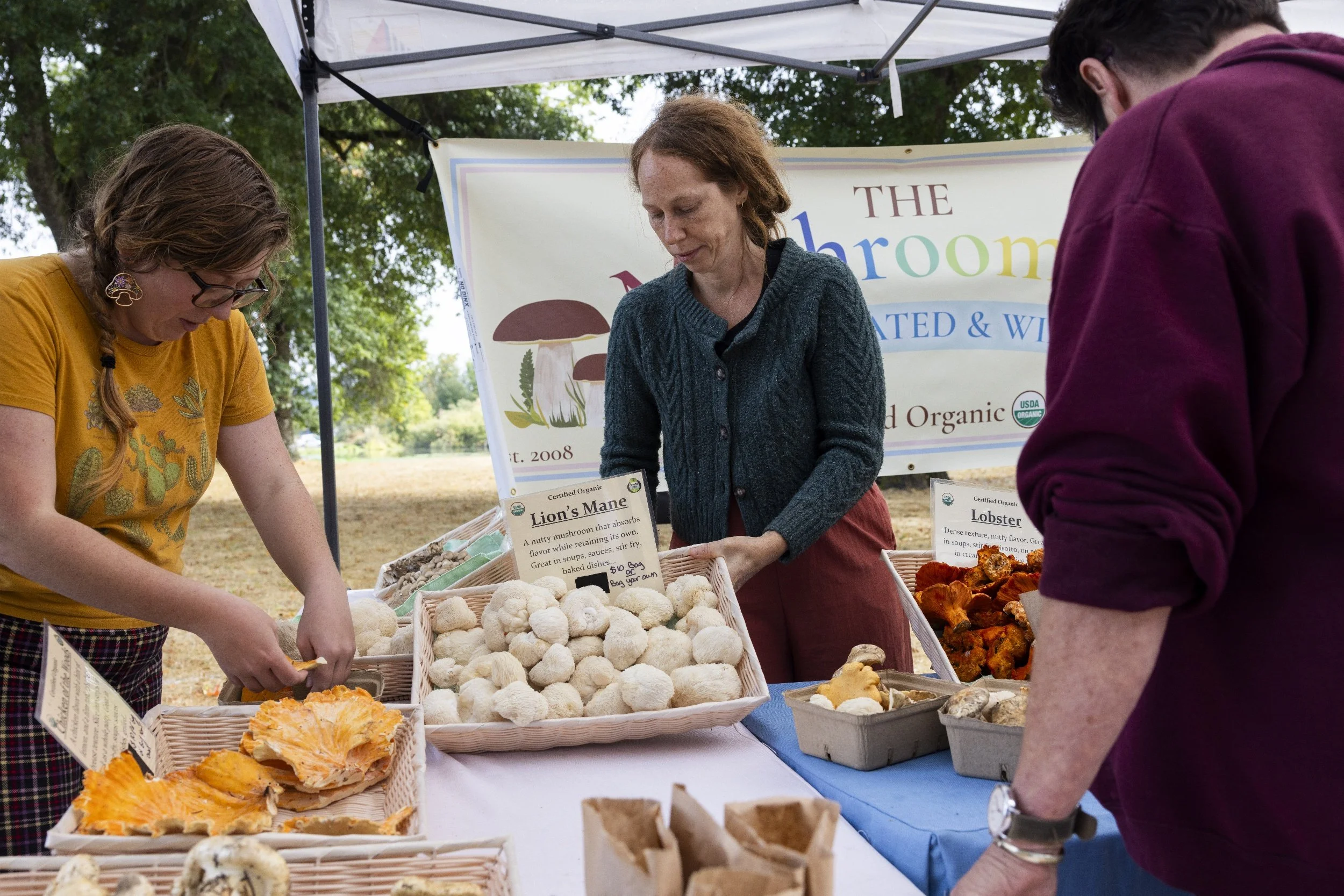 processed_Albany Mushroom Festival-14.jpg