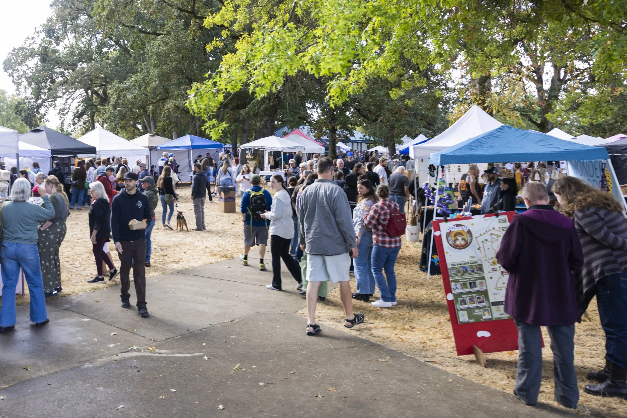 processed_Albany Mushroom Festival-39.jpg