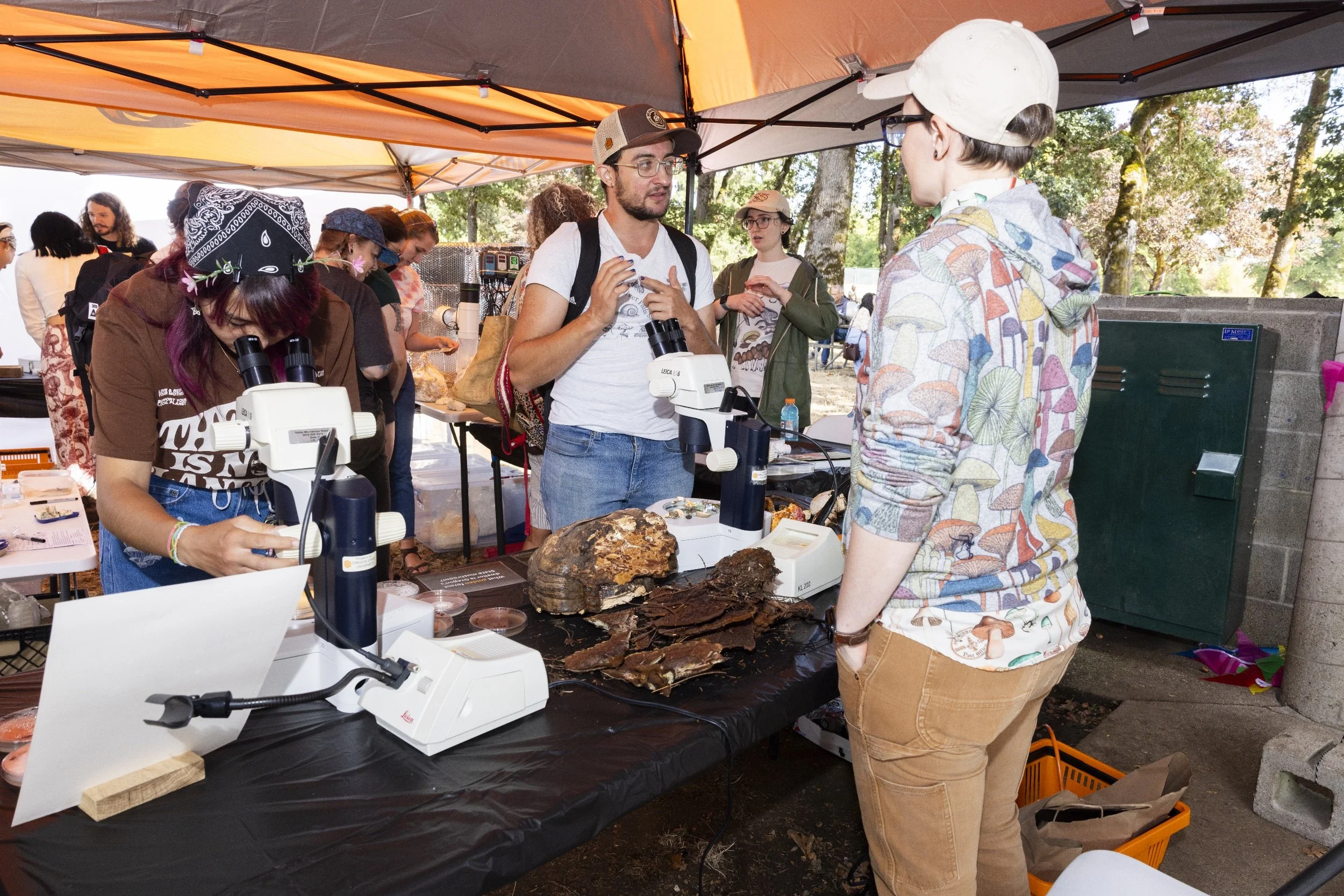 processed_Albany Mushroom Festival-67.jpg