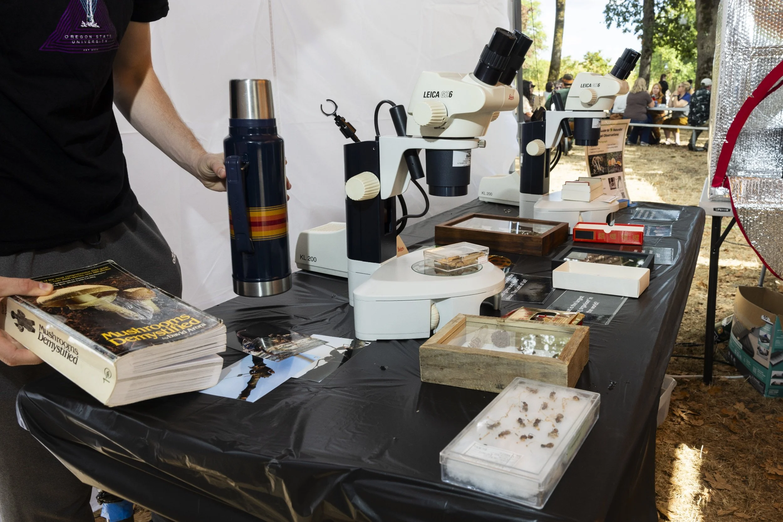 processed_Albany Mushroom Festival-92.jpg