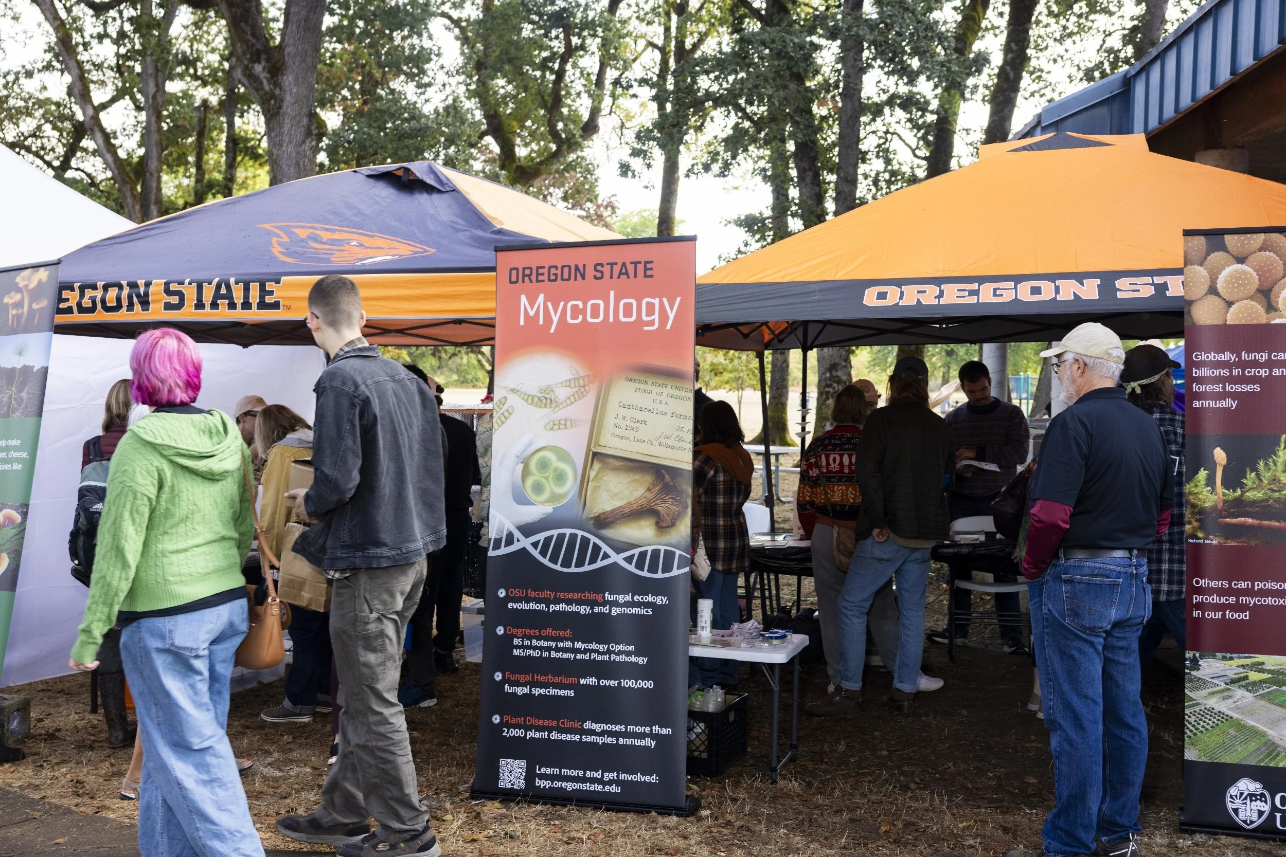 processed_Albany Mushroom Festival-44.jpg