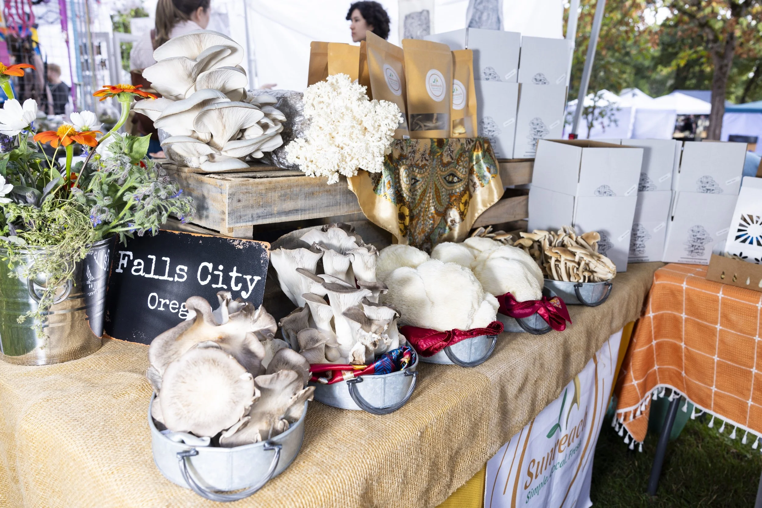 processed_Albany Mushroom Festival-35 (1).jpg