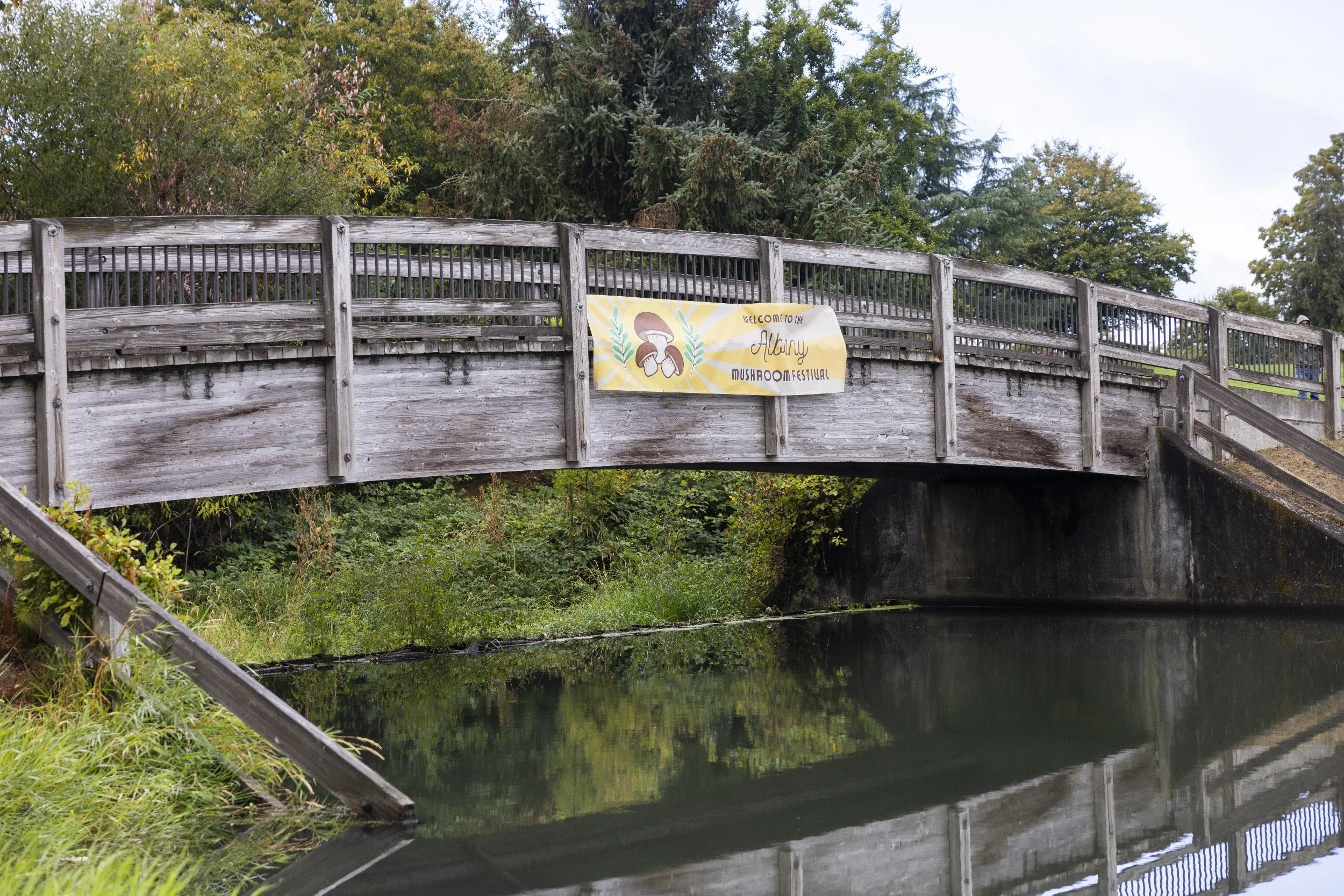 processed_Albany Mushroom Festival-3 (1).jpg