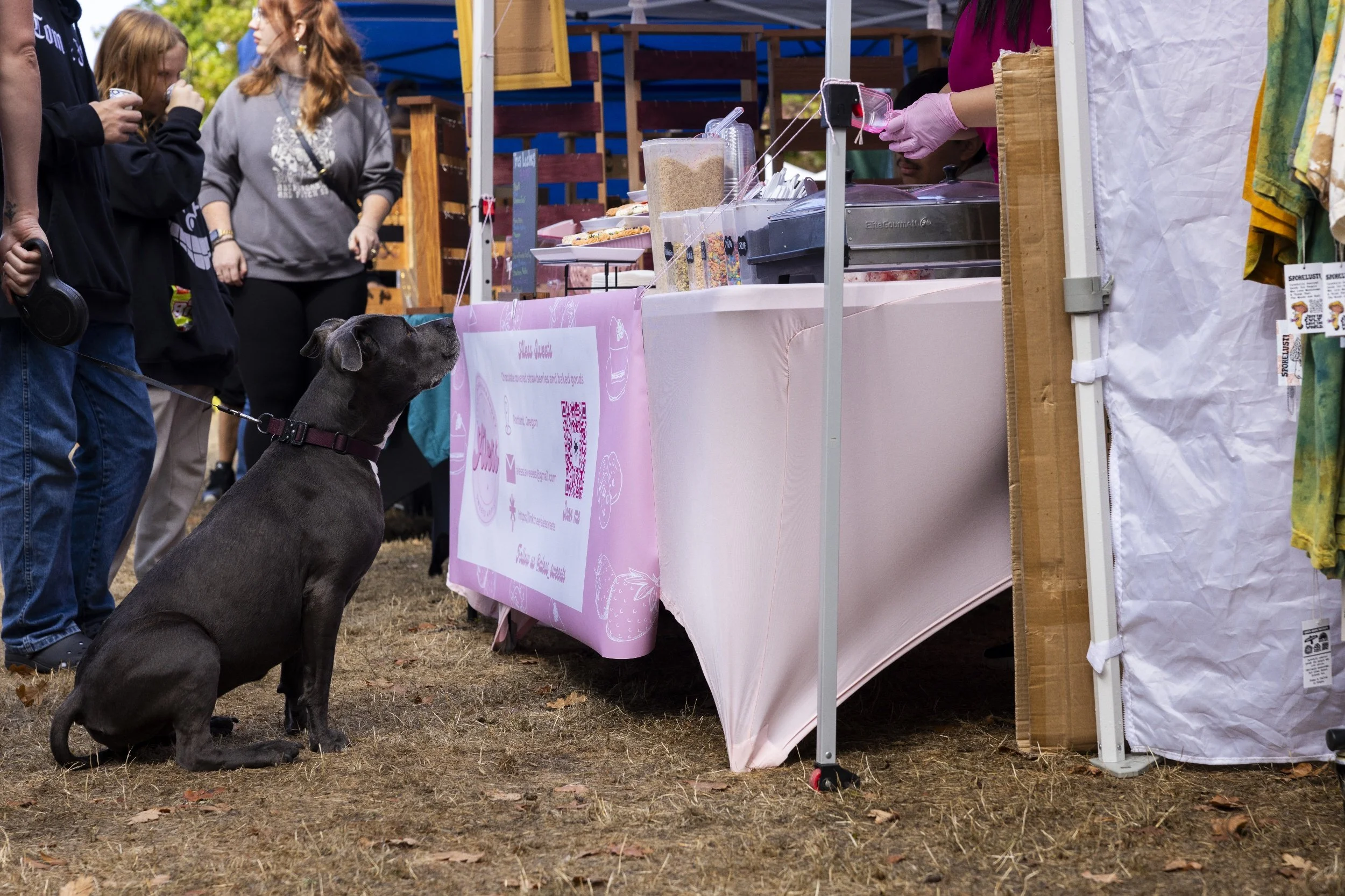 processed_Albany Mushroom Festival-20.jpg