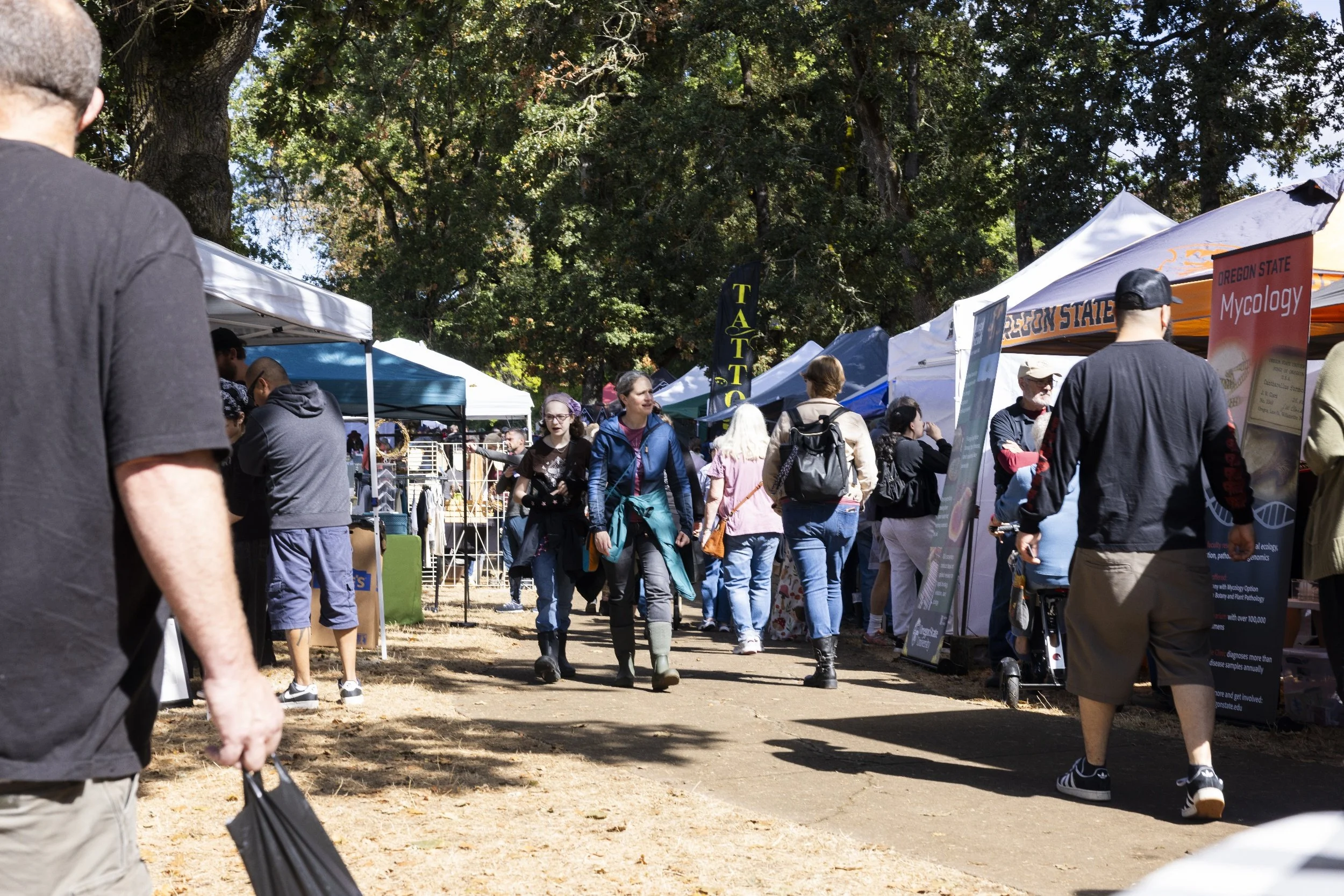 processed_Albany Mushroom Festival-54 (1).jpg
