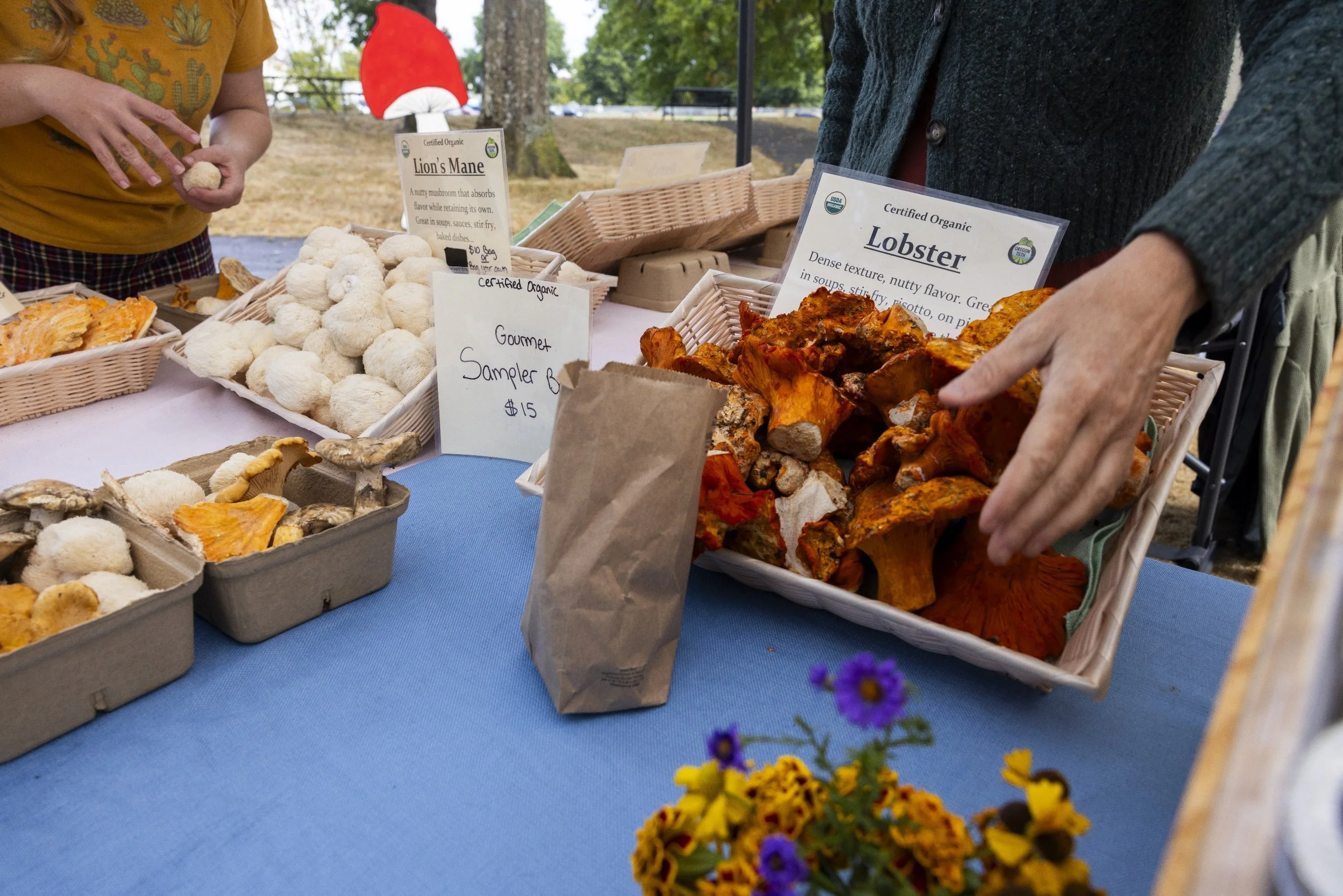 processed_Albany Mushroom Festival-15 (1).jpg