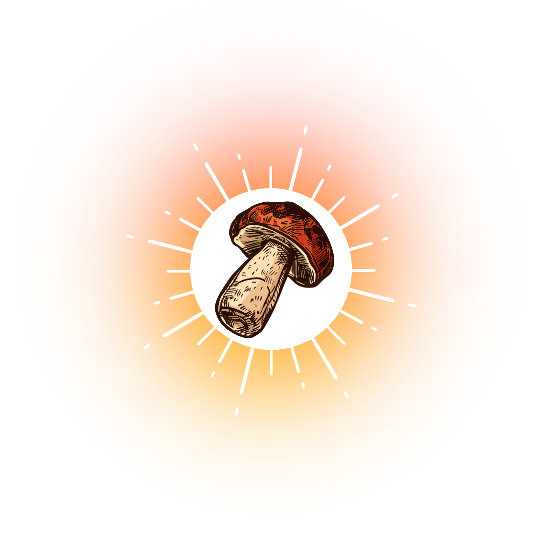 about-cap-and-stem-northwest