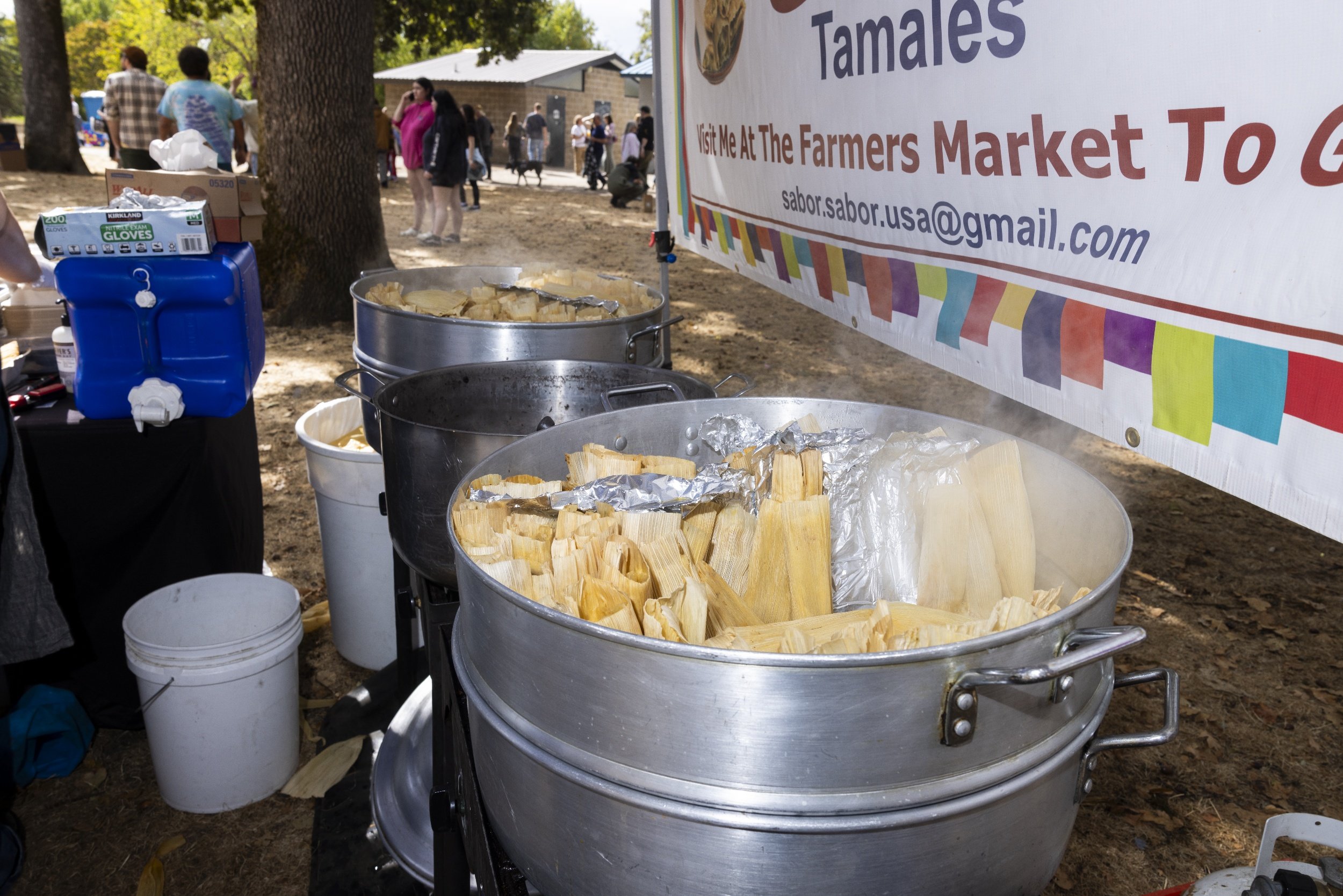 processed_Albany Mushroom Festival-90.jpg