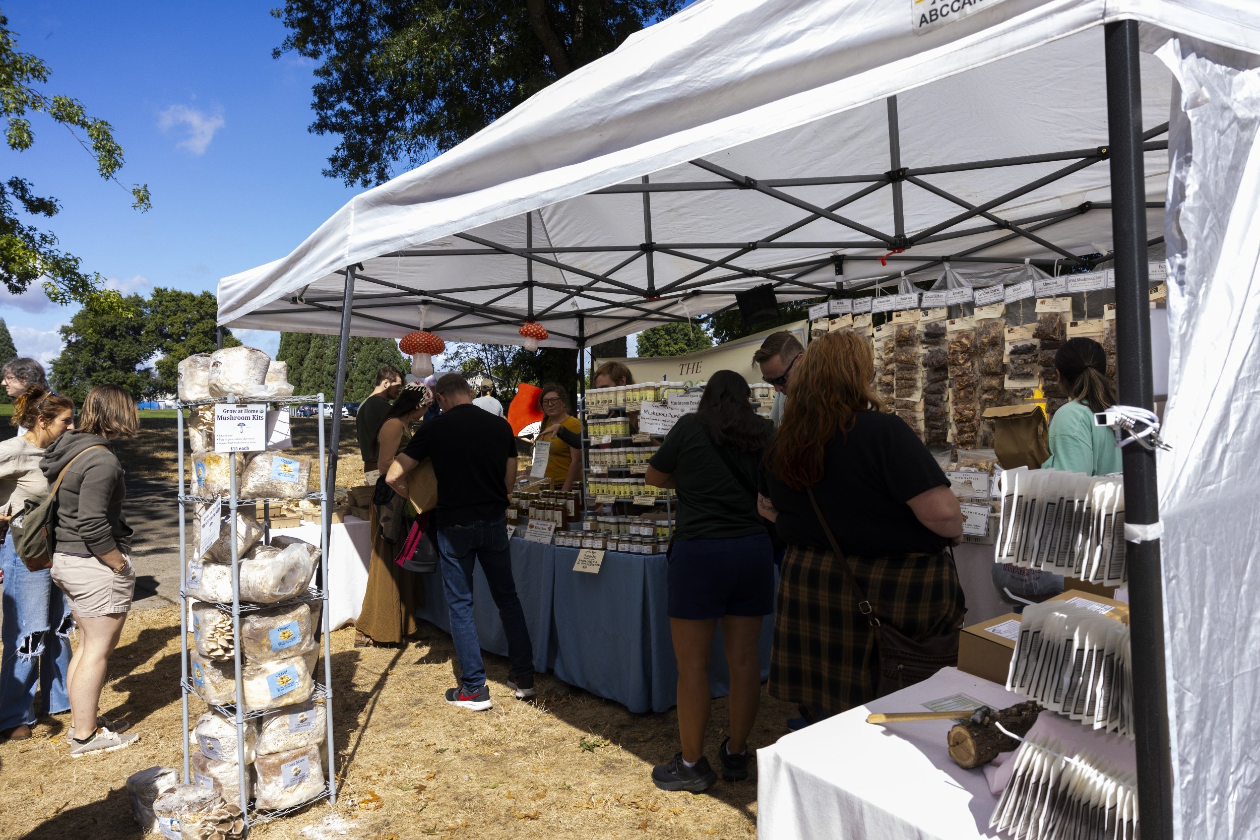 processed_Albany Mushroom Festival-58.jpg