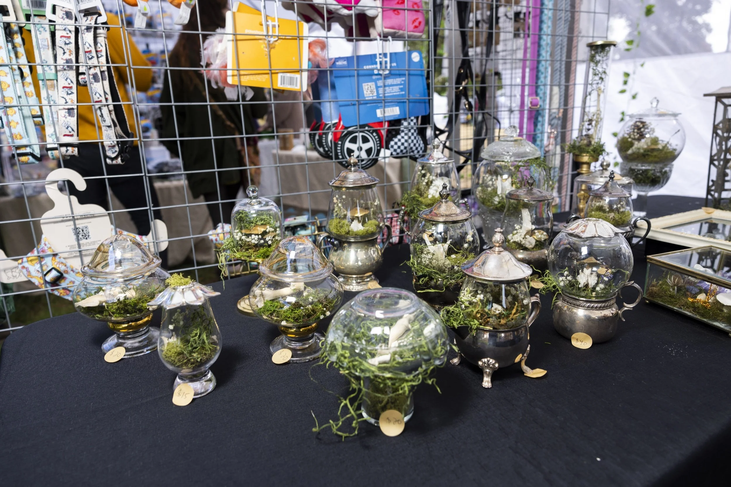 processed_Albany Mushroom Festival-36.jpg