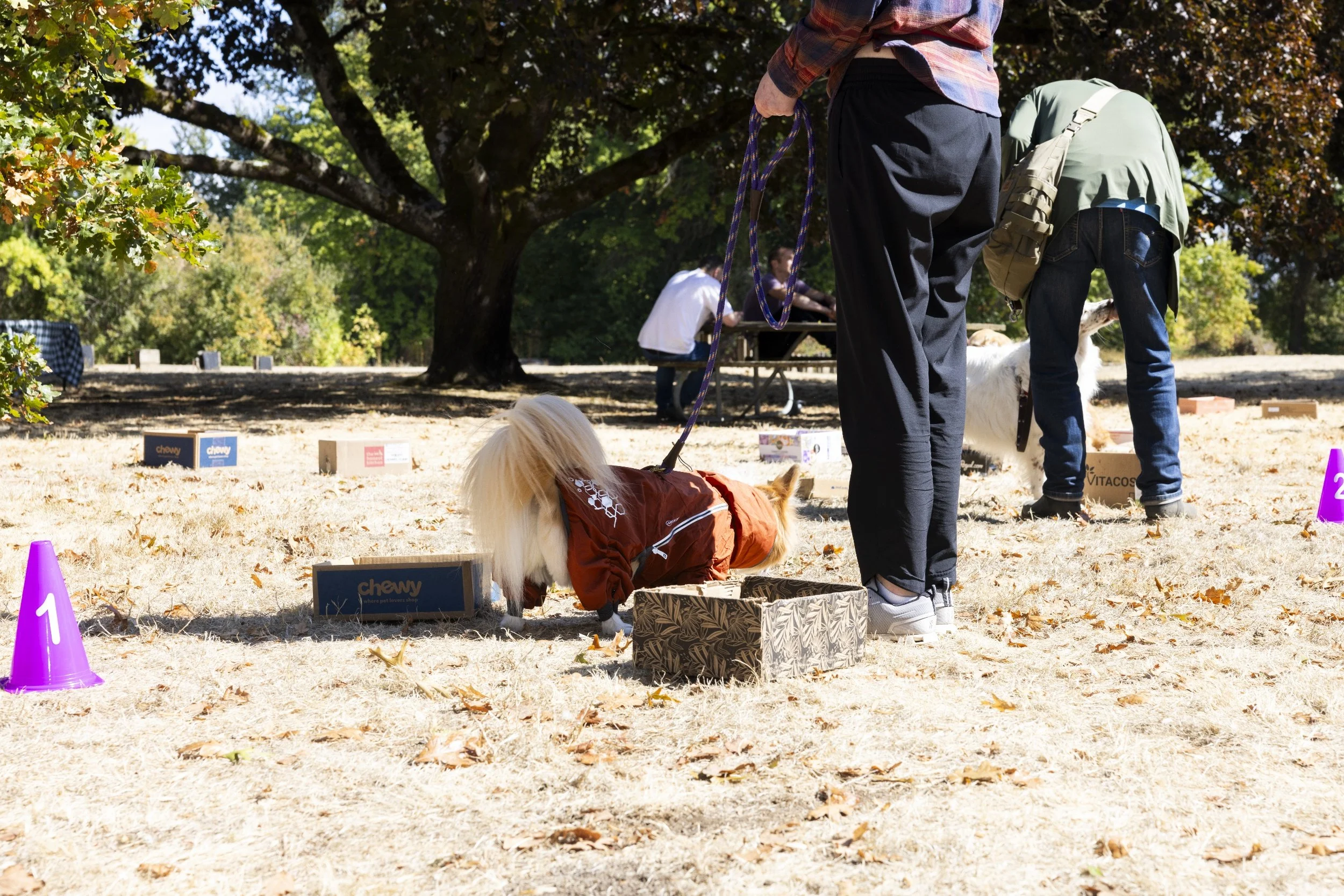 processed_Albany Mushroom Festival-56.jpg