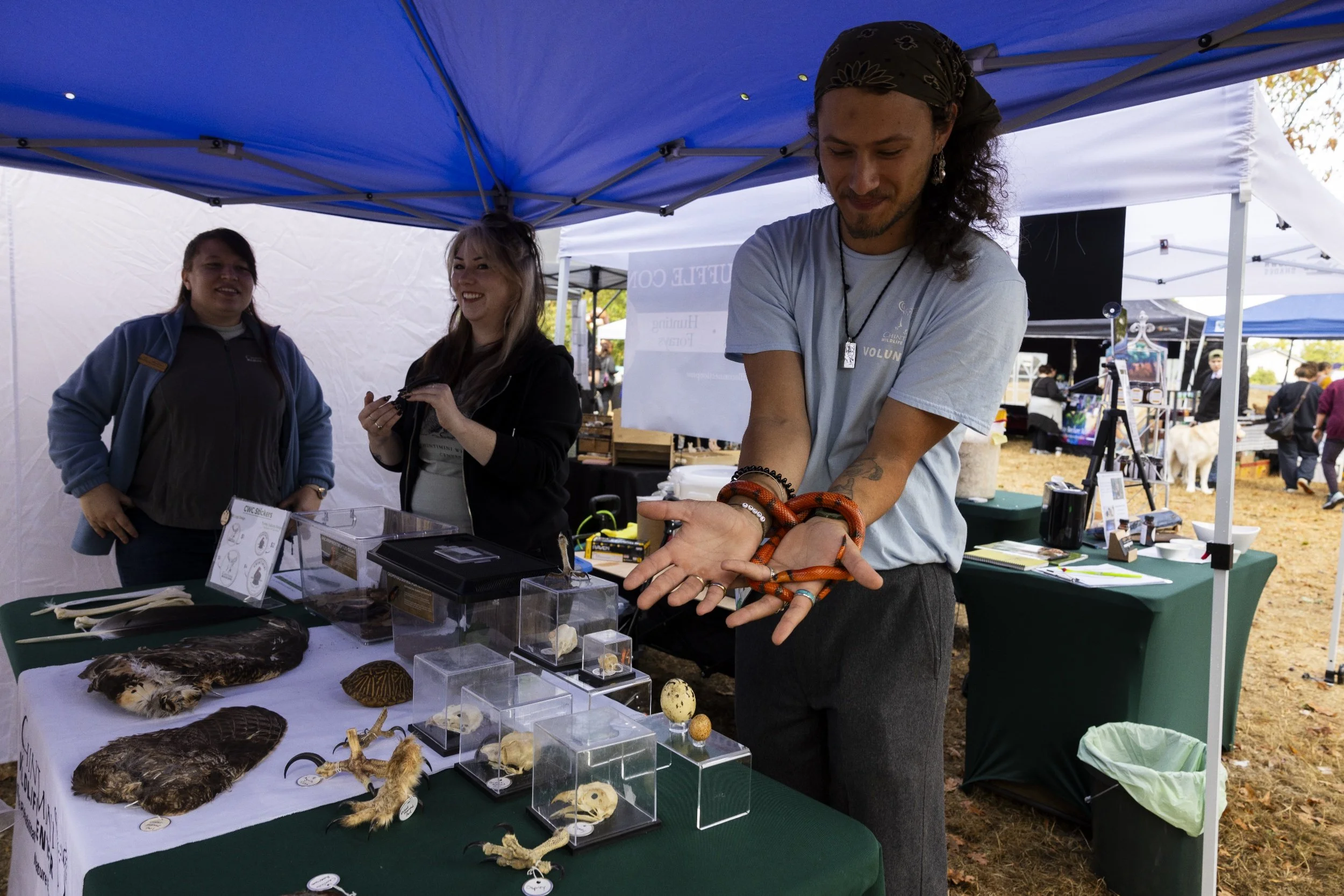 processed_Albany Mushroom Festival-17.jpg