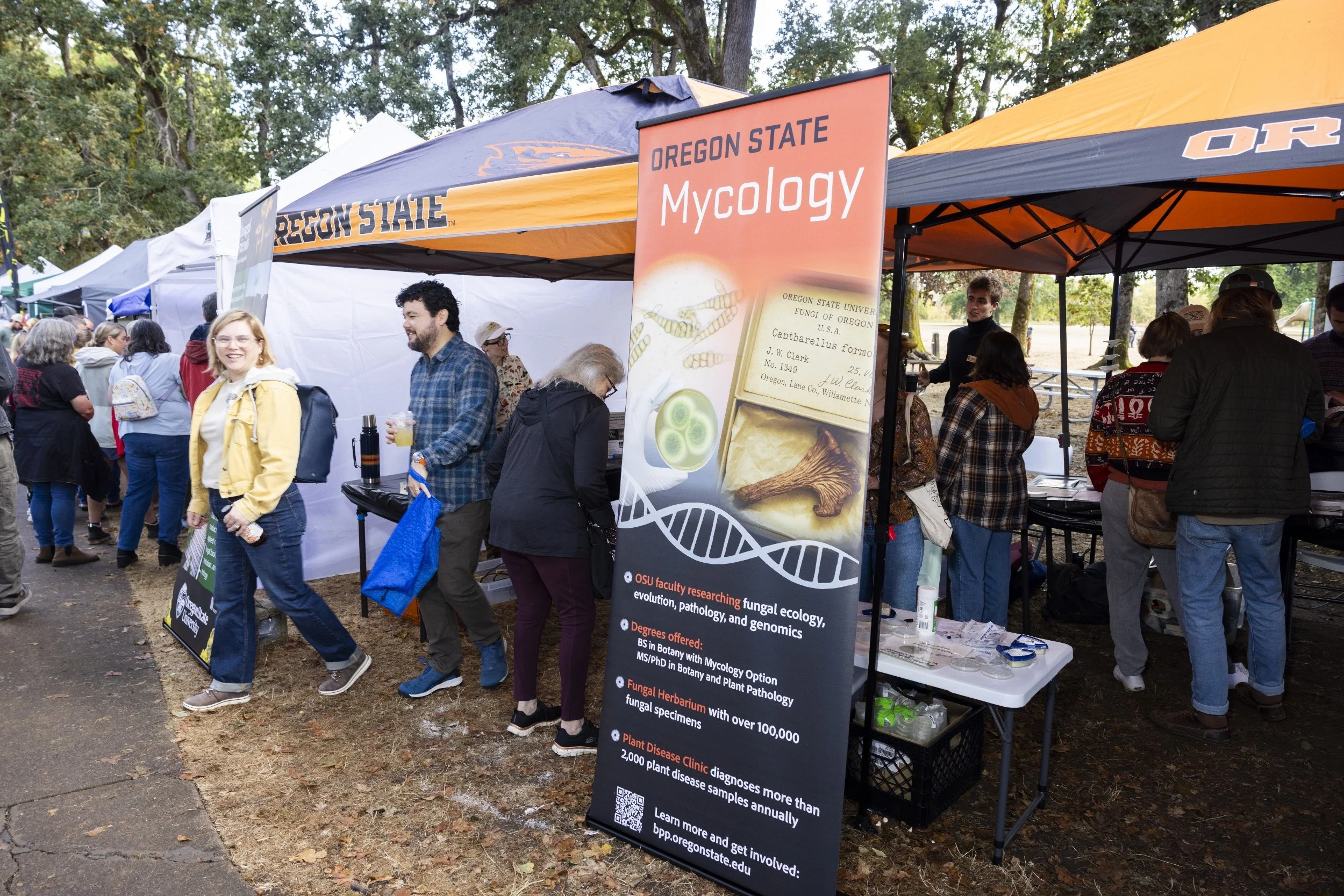 processed_Albany Mushroom Festival-45 (1).jpg