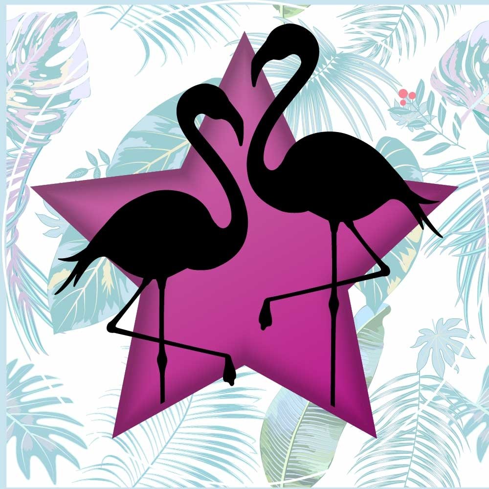 Tampa Bay Classic WCS 2026