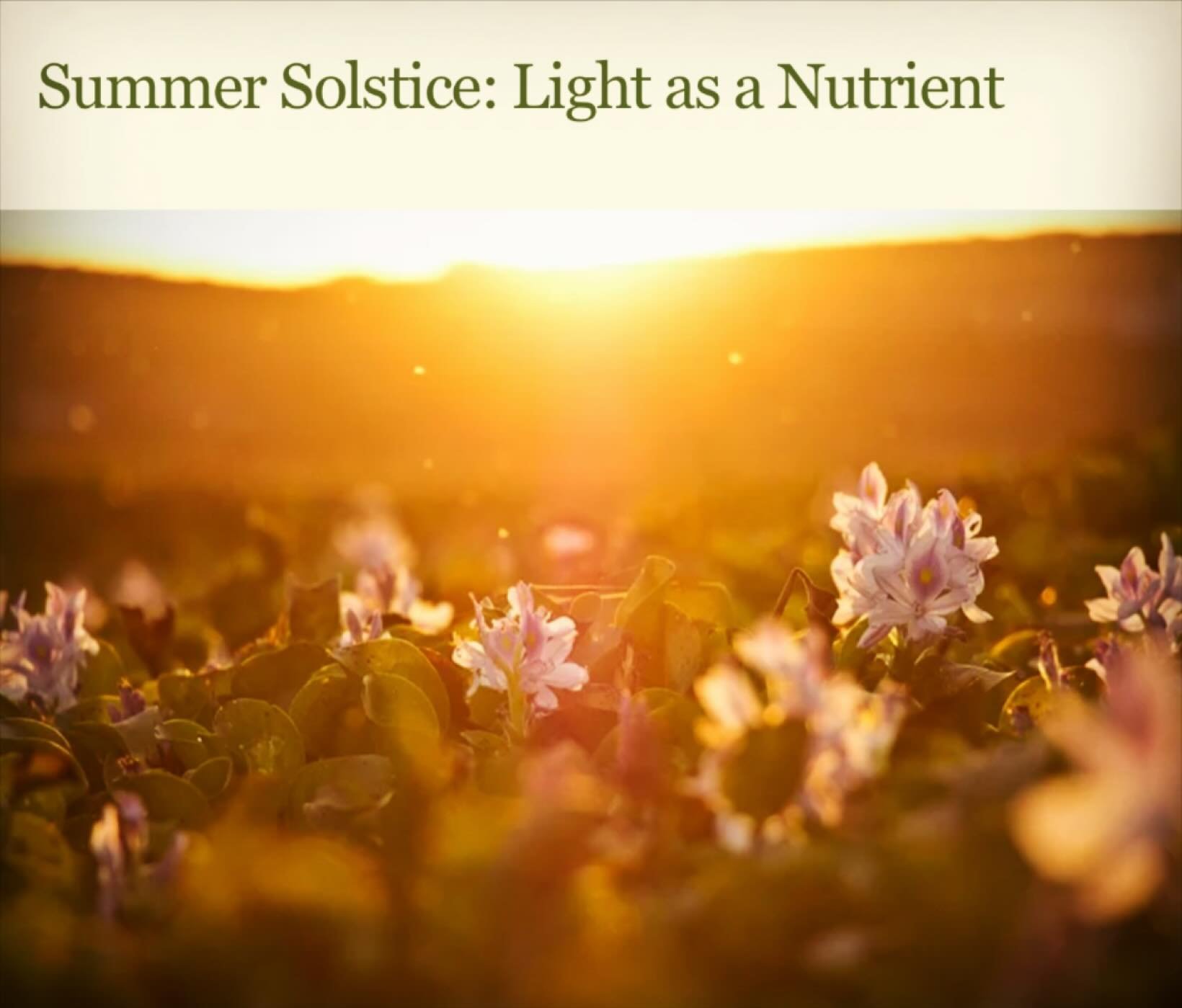 Summer Solstice: Light as a Nutrient

In this weeks article, as we in the southern hemisphere get closer to the summer solstice, Kat Nouata FNTP brings to our awareness a different perspective on light. 

Discover how natural sunlight shapes your sle