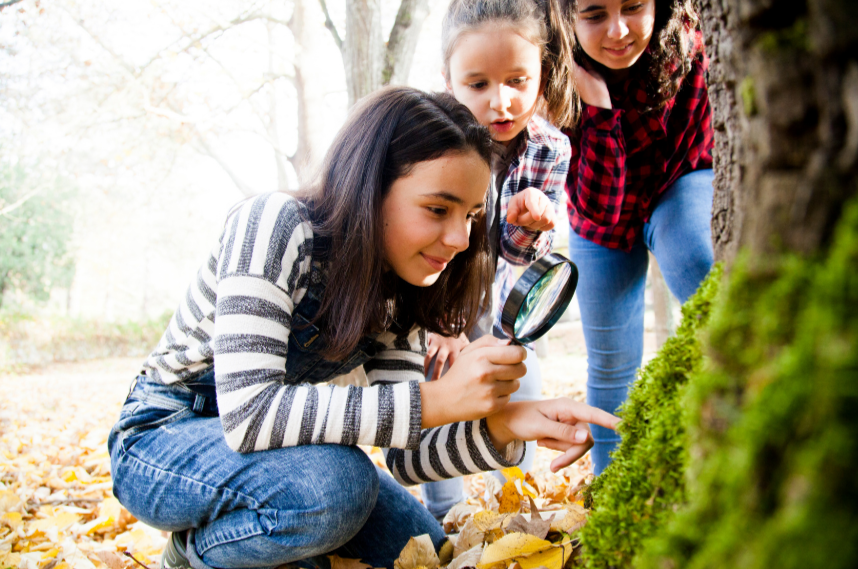 Rethinking Learning Environments - From School to Home Education