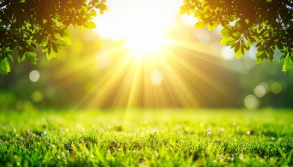 Think Terrain First: How focusing on the “Germ” rather than the cause can lead to an expensive rabbit hole