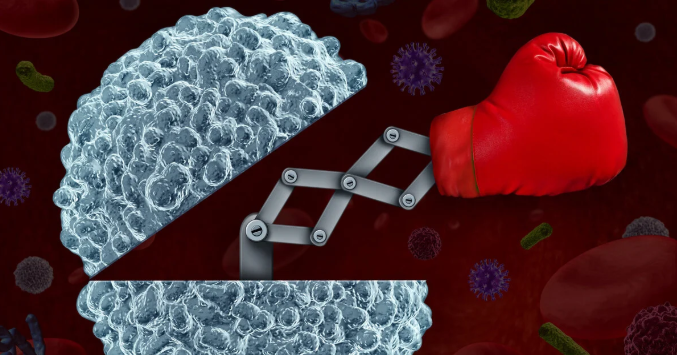 How I Beat My Autoimmunity